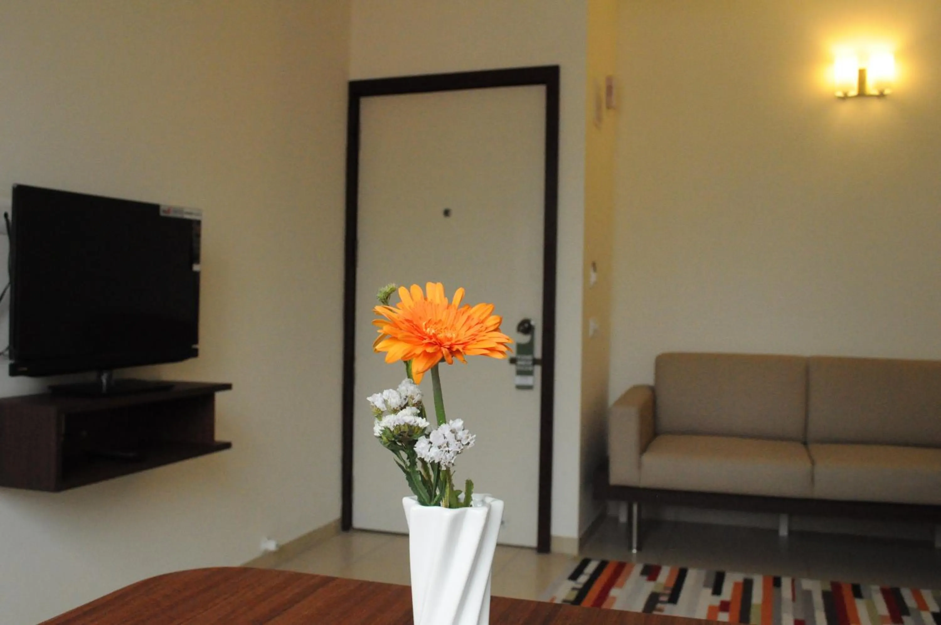 TV and multimedia in Ixora Suites