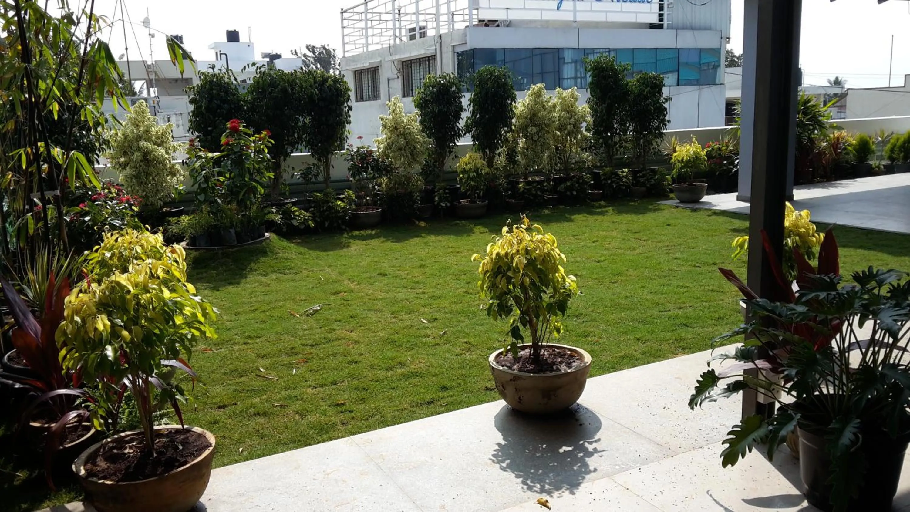 Garden in Ixora Suites