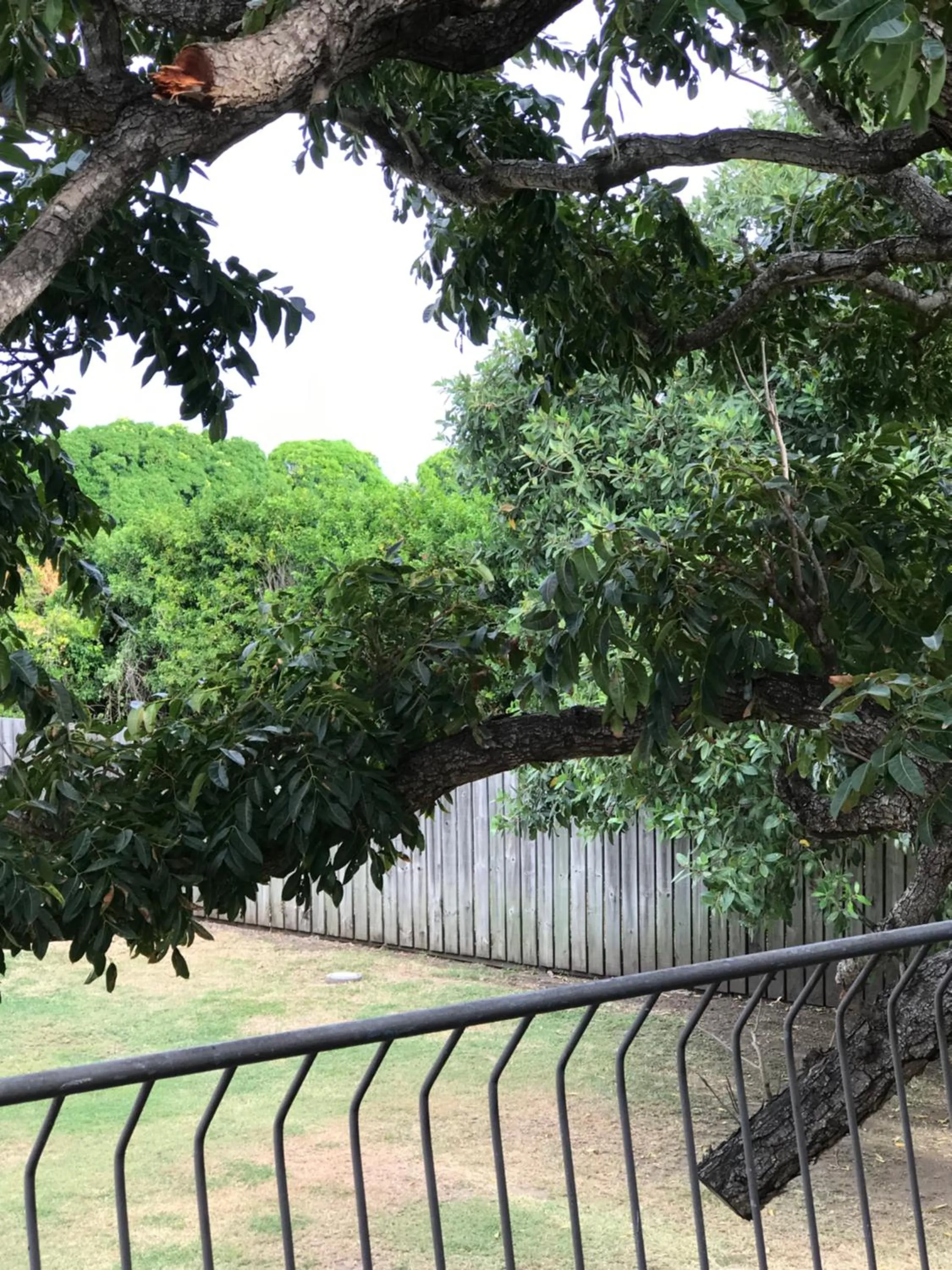 View (from property/room) in Ocean Breeze Units