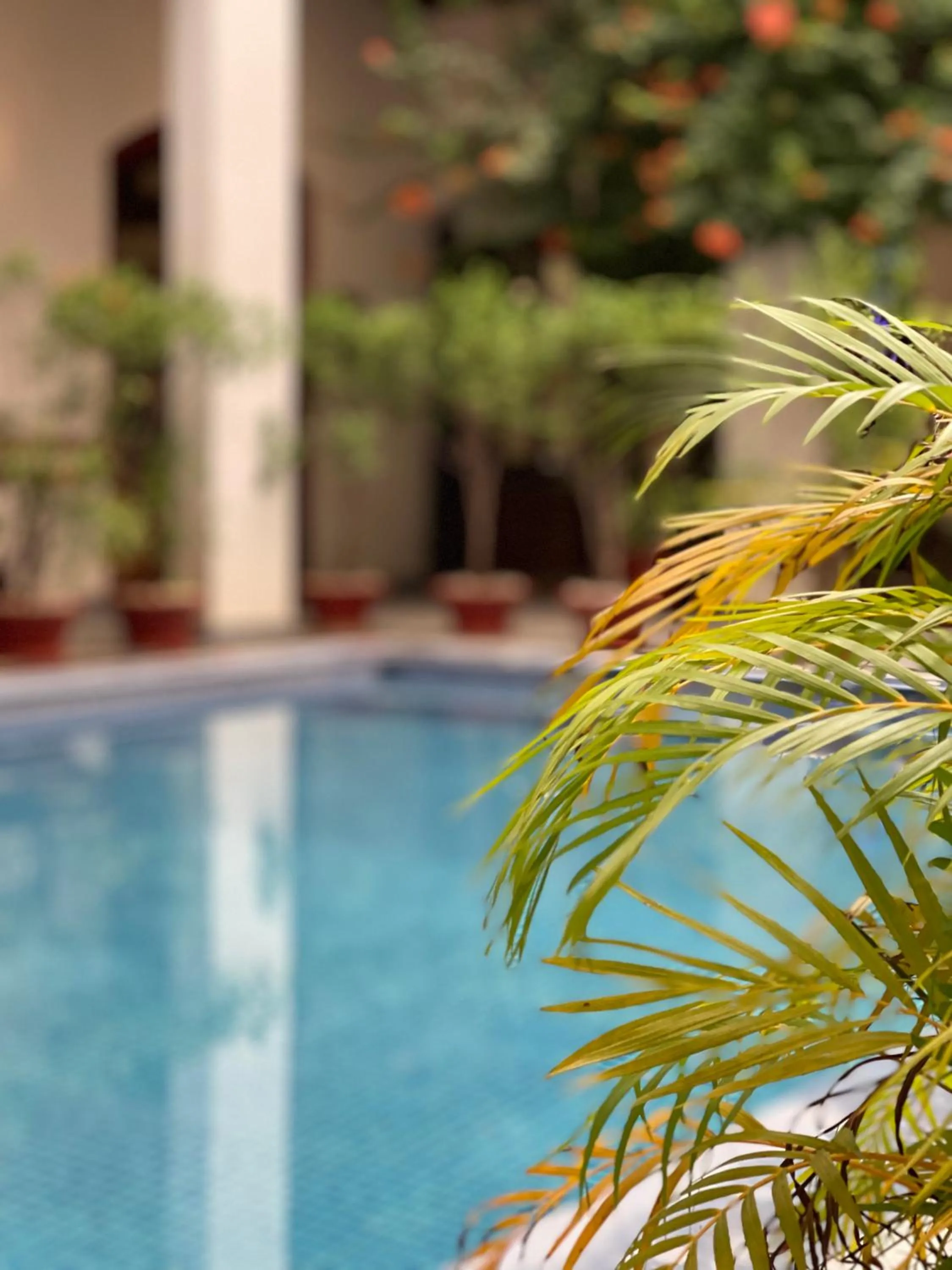 Swimming pool in The Killians Boutique Hotel