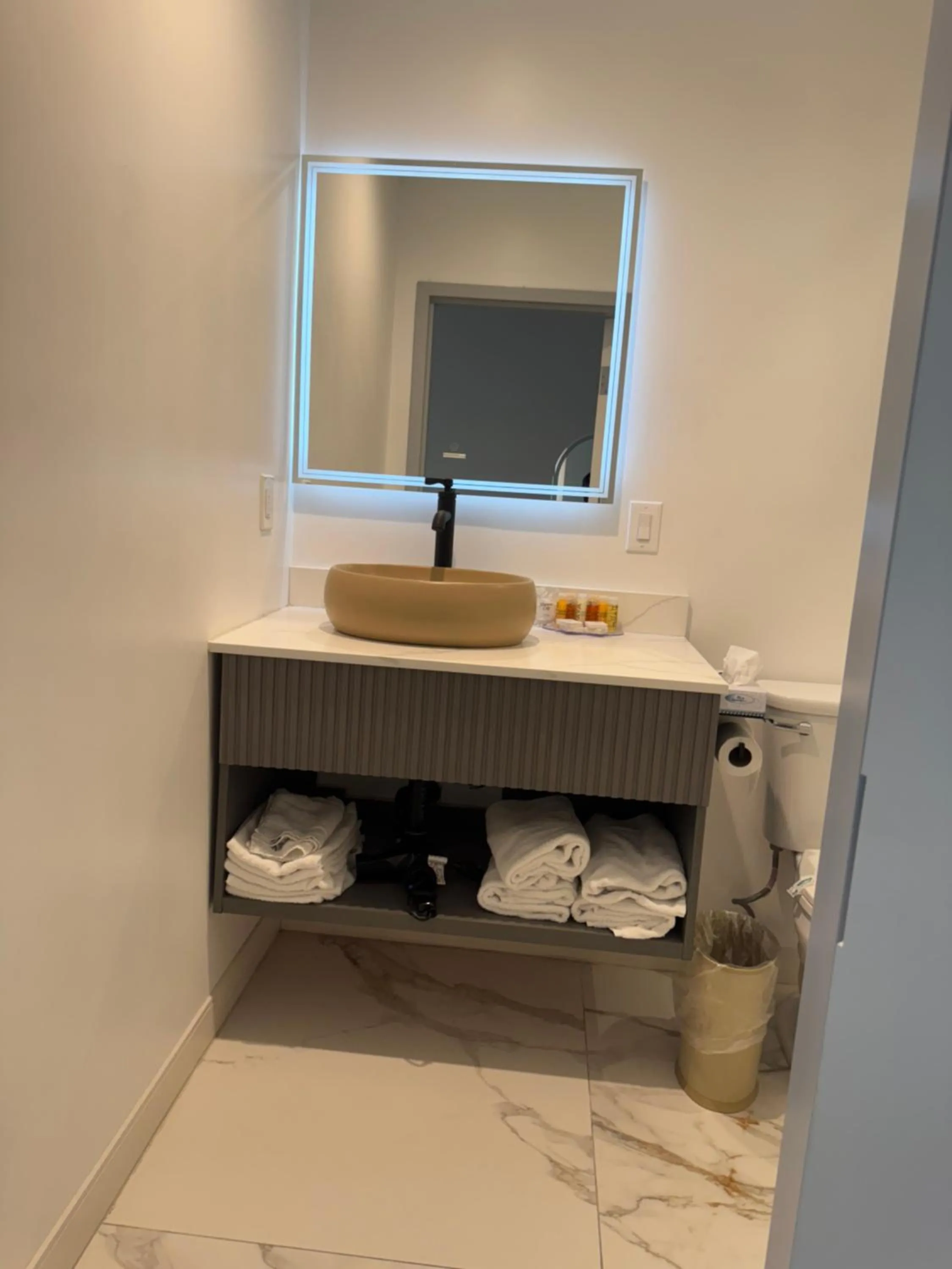 Bathroom in Hotel Rudra - Hollywood