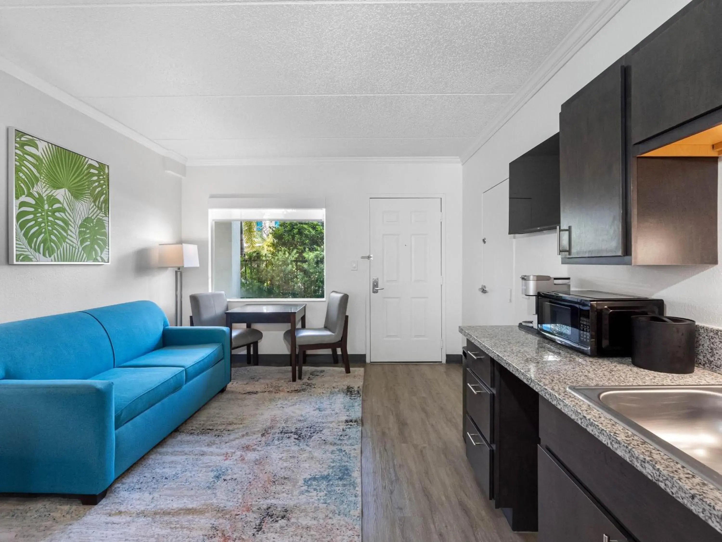 King Suite in OASIS BAY SUITES, Tampa, Busch Gardens, USF King Suite in OASIS BAY SUITES, Tampa, Busch Gardens, USF