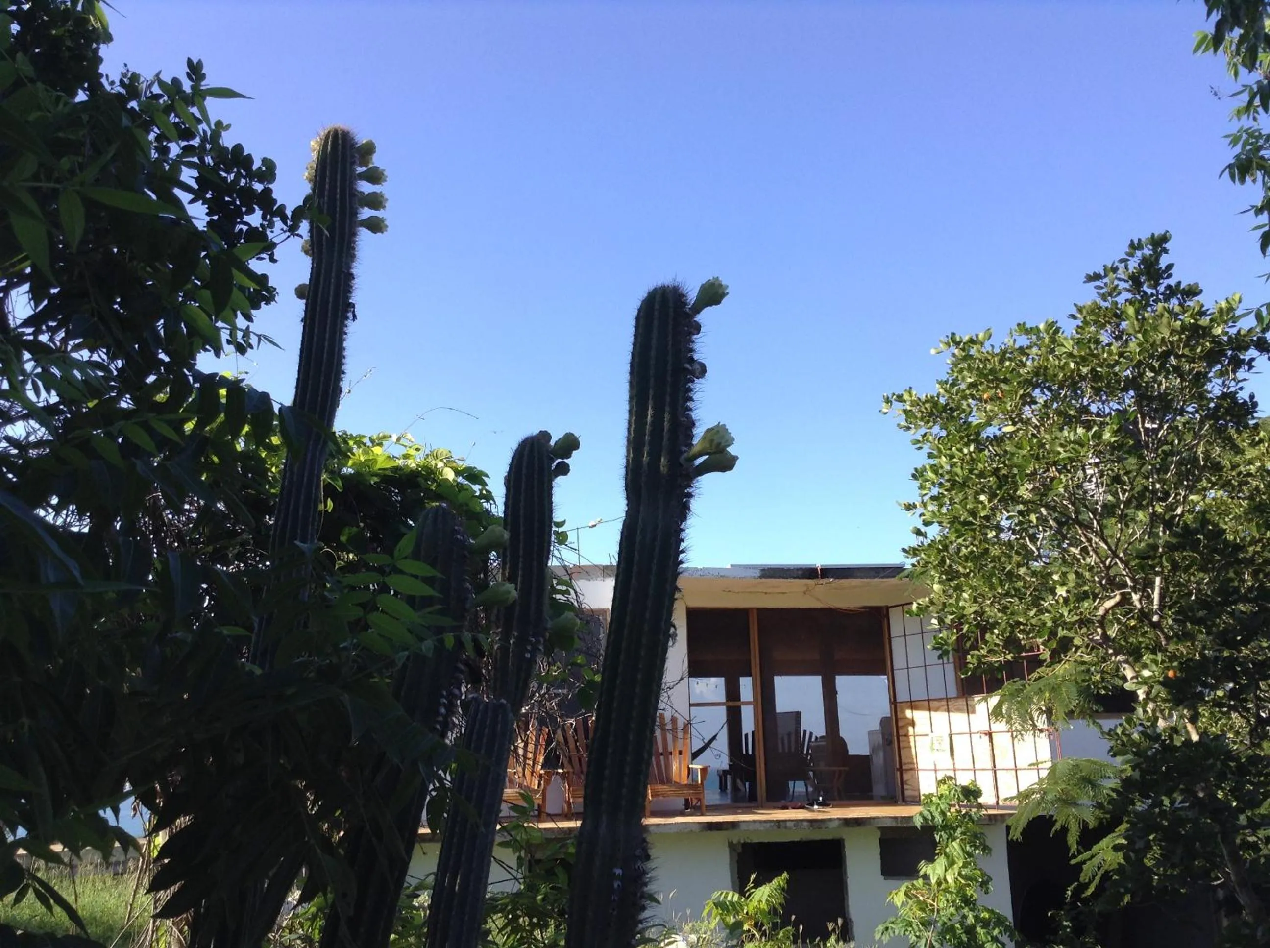 Property building in Welcoming vibes