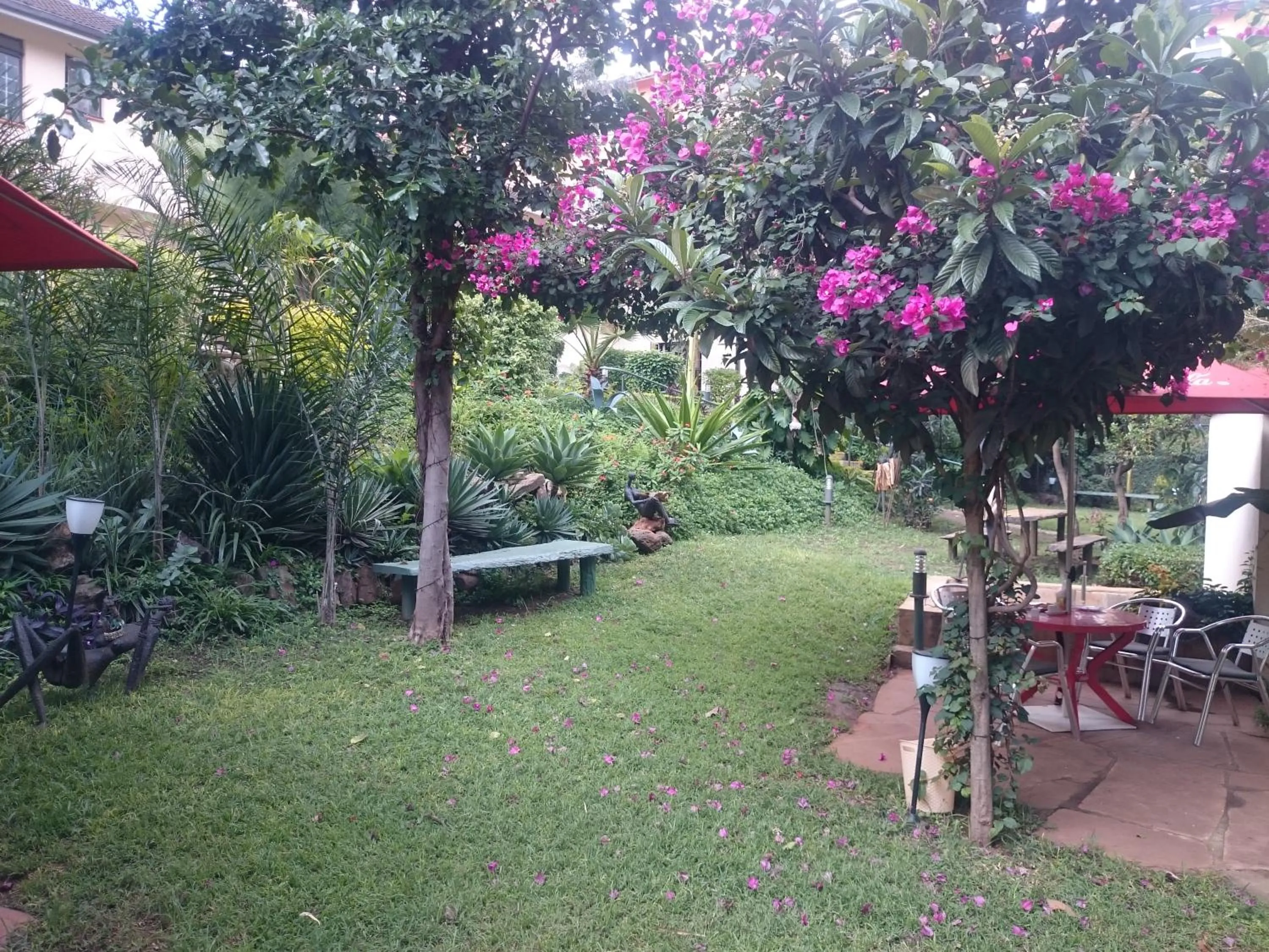 Garden in Hotel Riverview Westlands