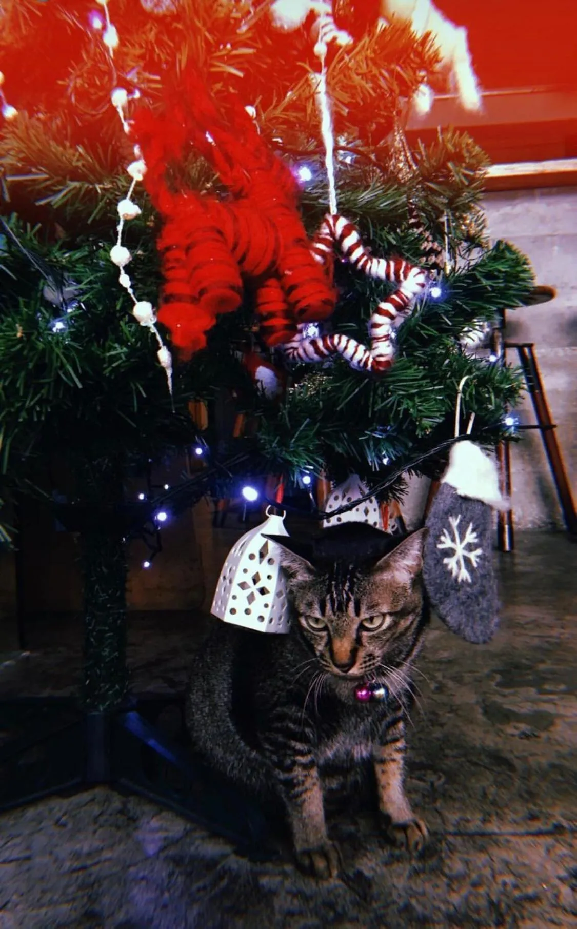 BED STATION Hostel Ratchthewi