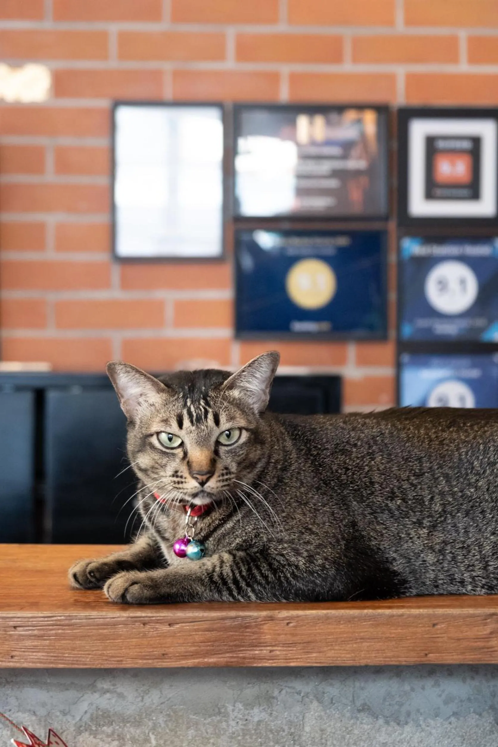 BED STATION Hostel Ratchthewi