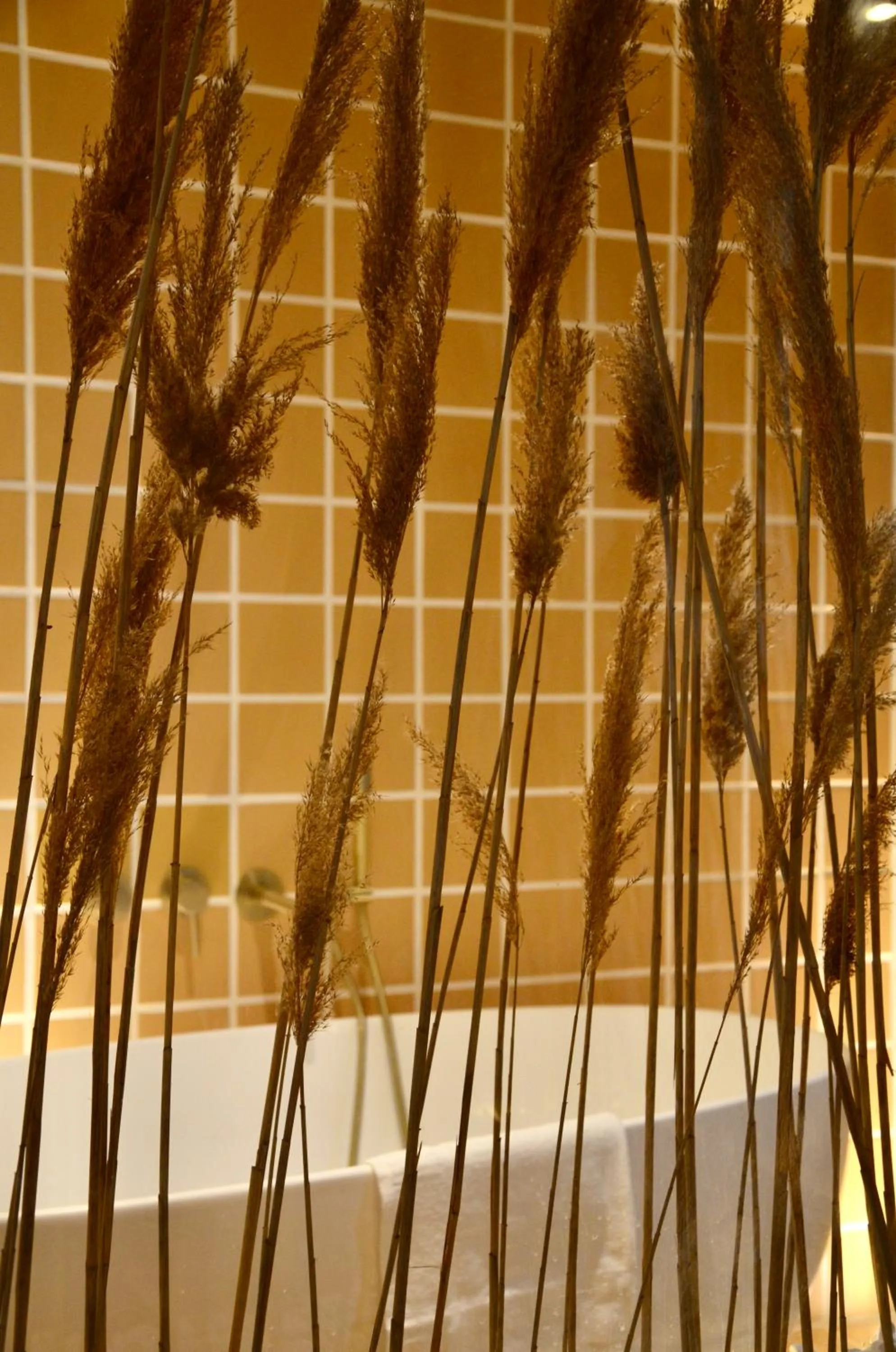 Decorative detail in Hotel Maison Soleil