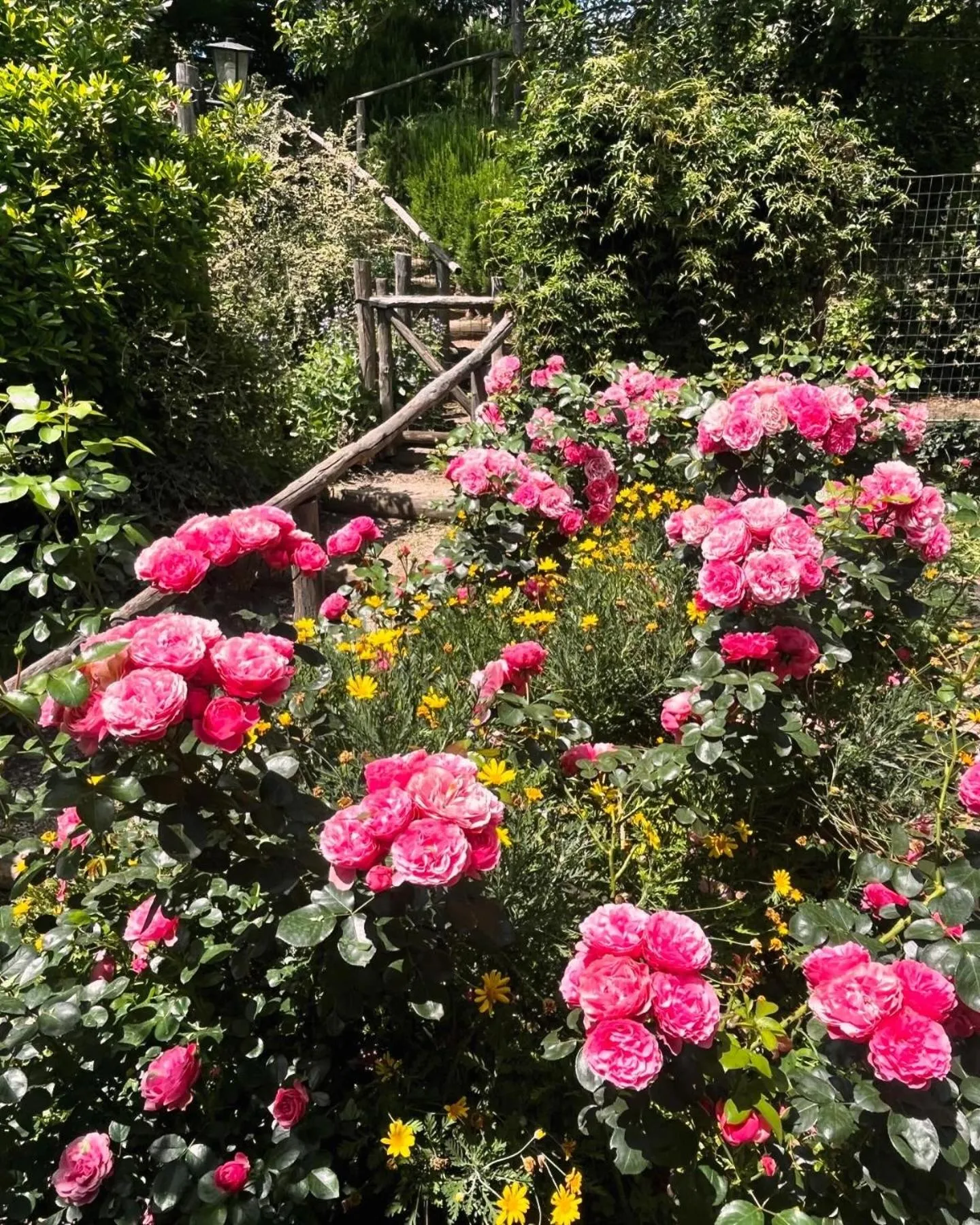Agriturismo La Cervaiola Piccola dimora di Campagna