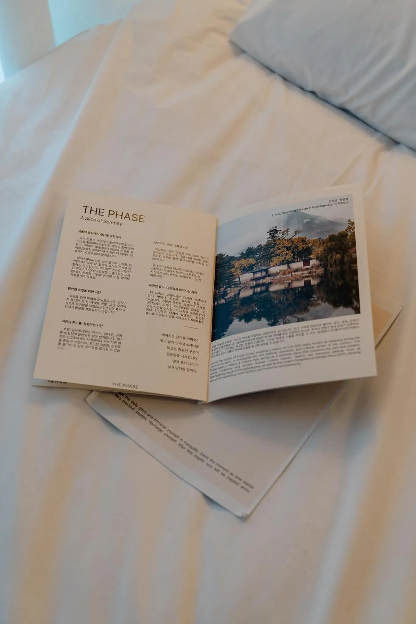 Bed in The Phase Boutique Hotel 동대문