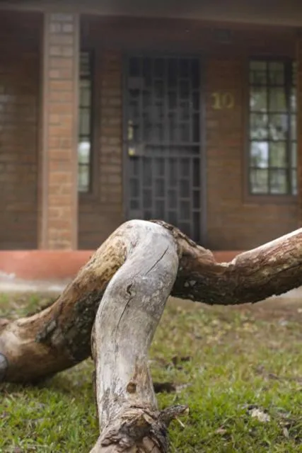 Decorative detail in Woodlands Lilongwe