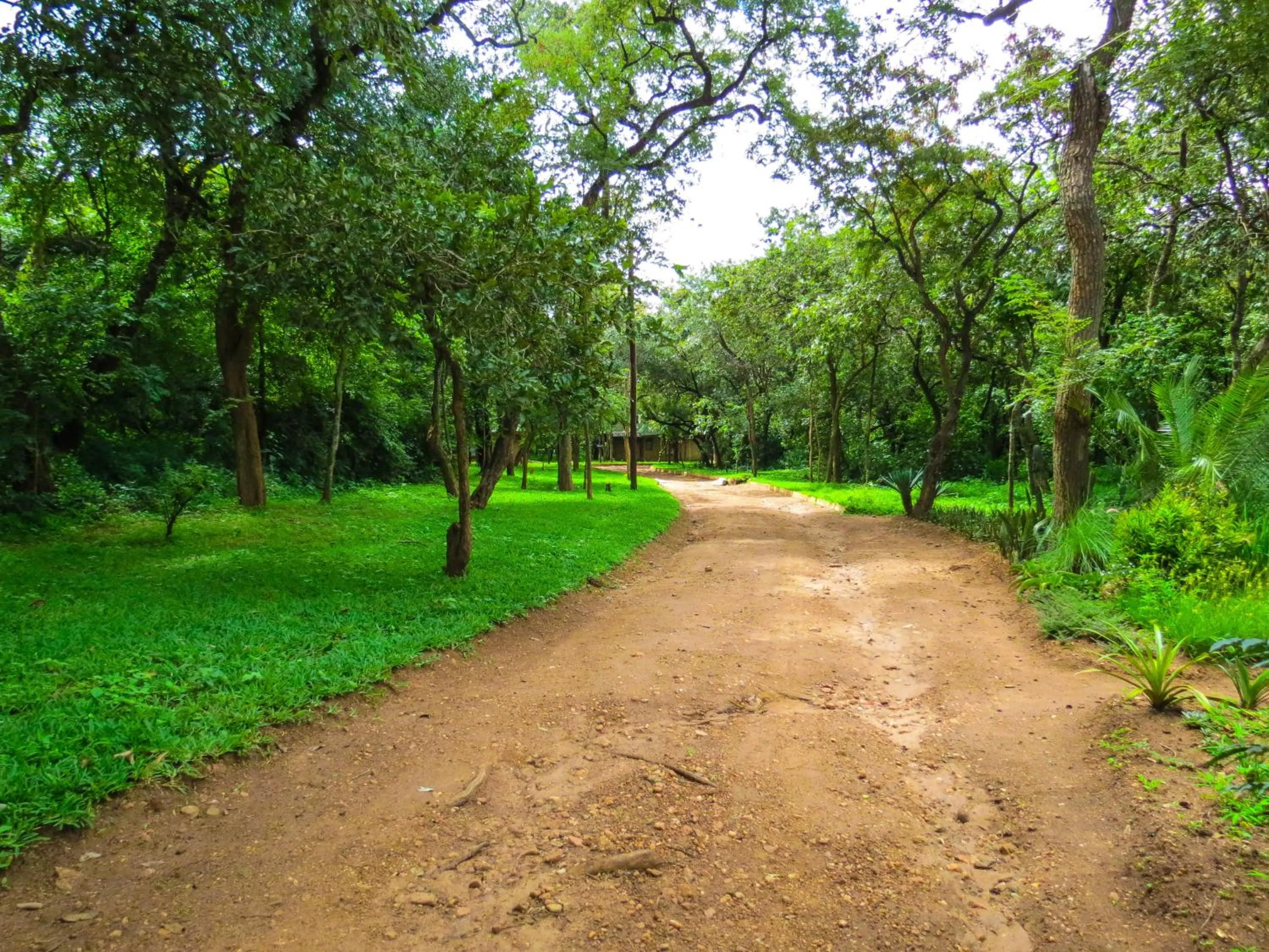 Garden in Woodlands Lilongwe