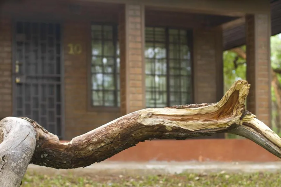 Decorative detail in Woodlands Lilongwe