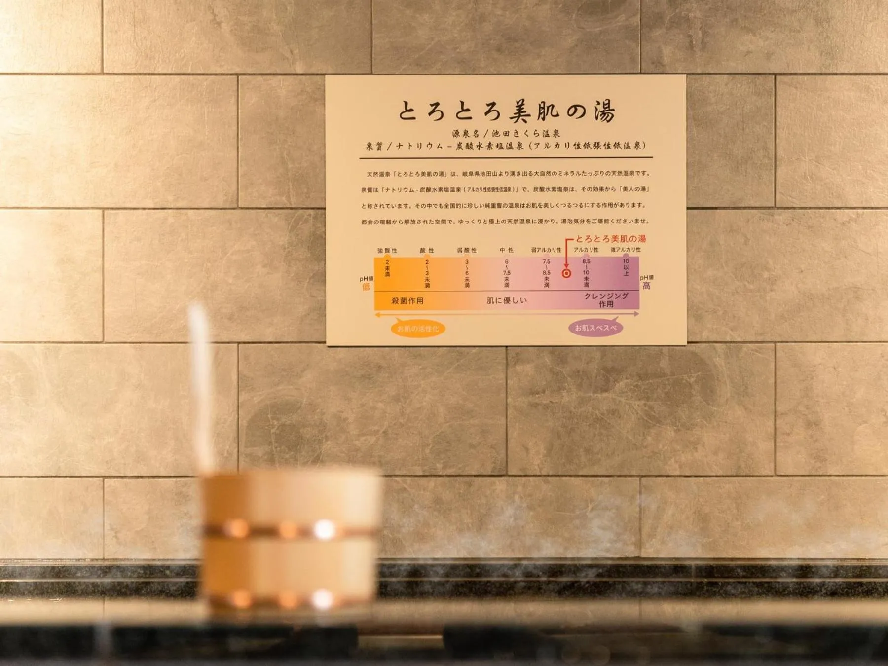 Hot Spring Bath in Super Hotel Premier Nagoya Sakuradoriguchi