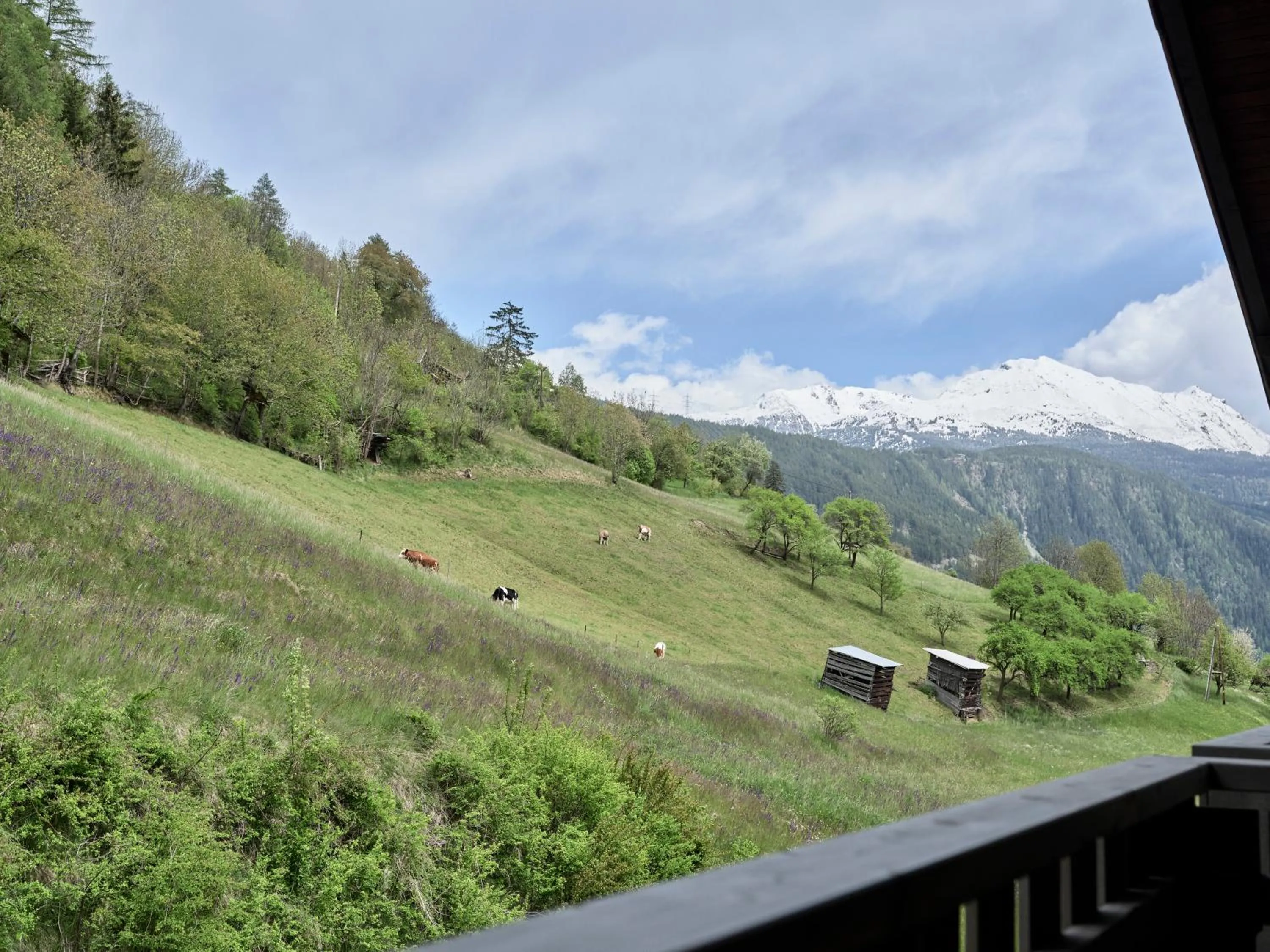 Natural landscape in Panoramahotel Fliesserhof
