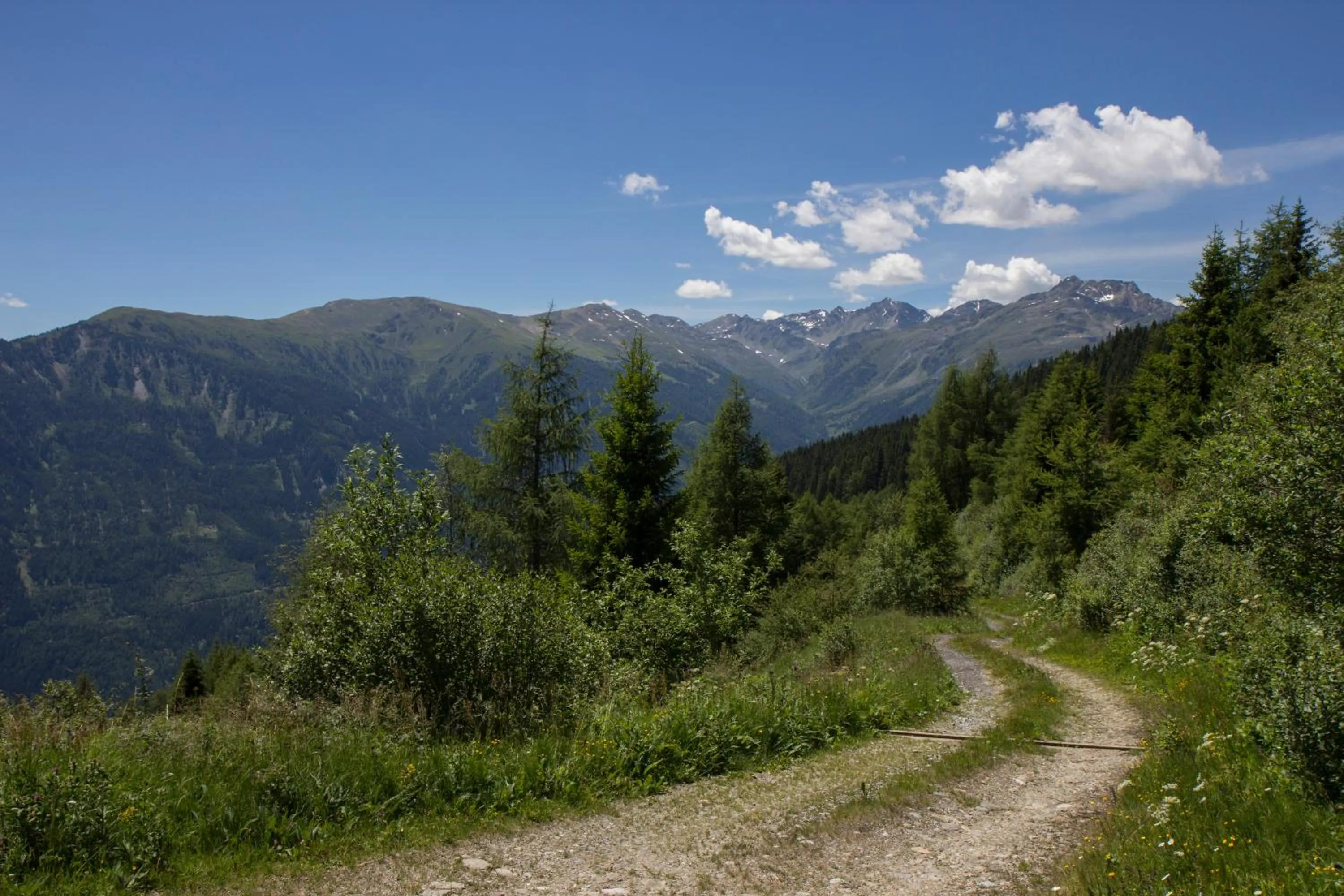 Natural landscape in Panoramahotel Fliesserhof