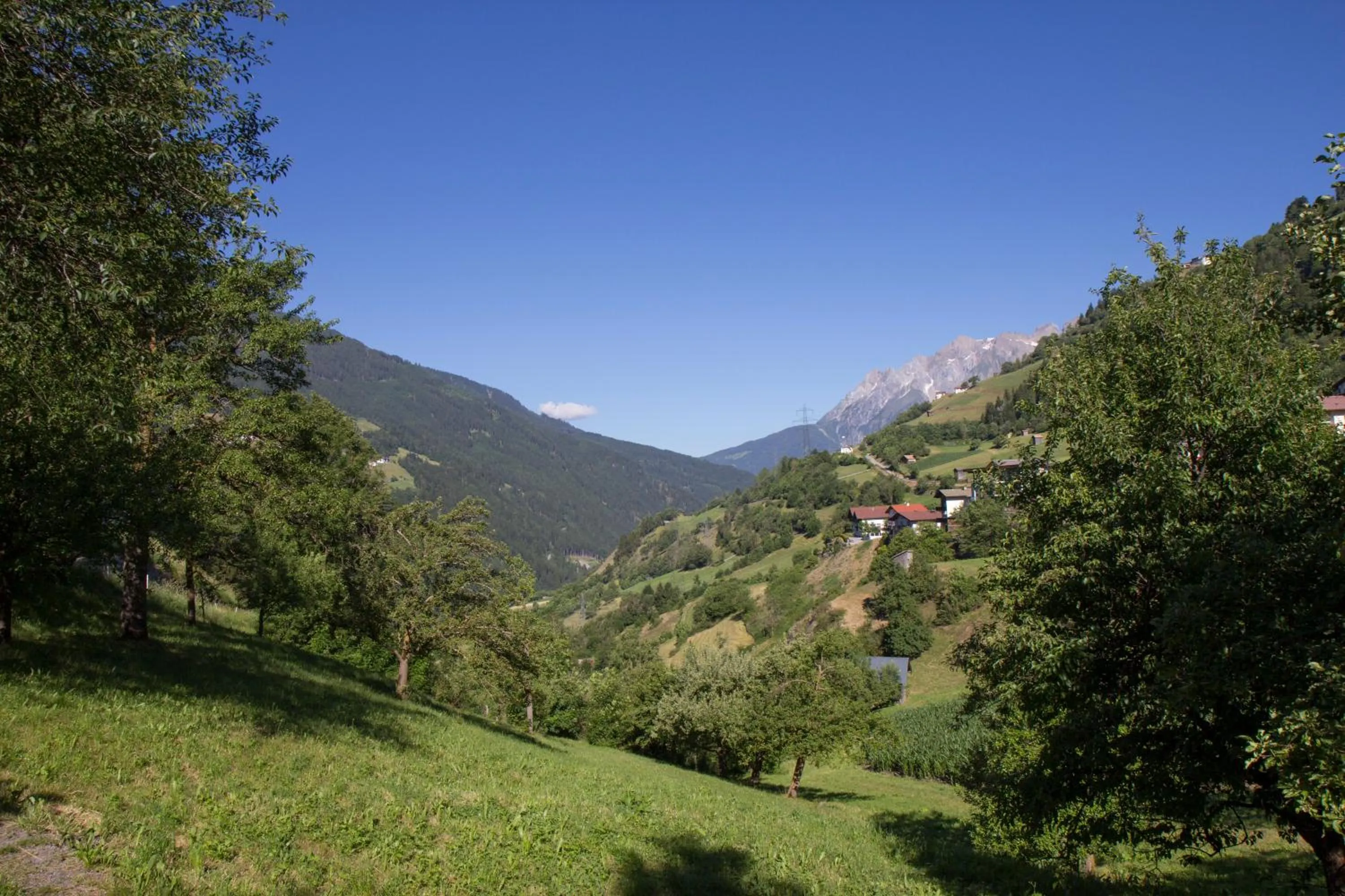 Natural landscape in Panoramahotel Fliesserhof