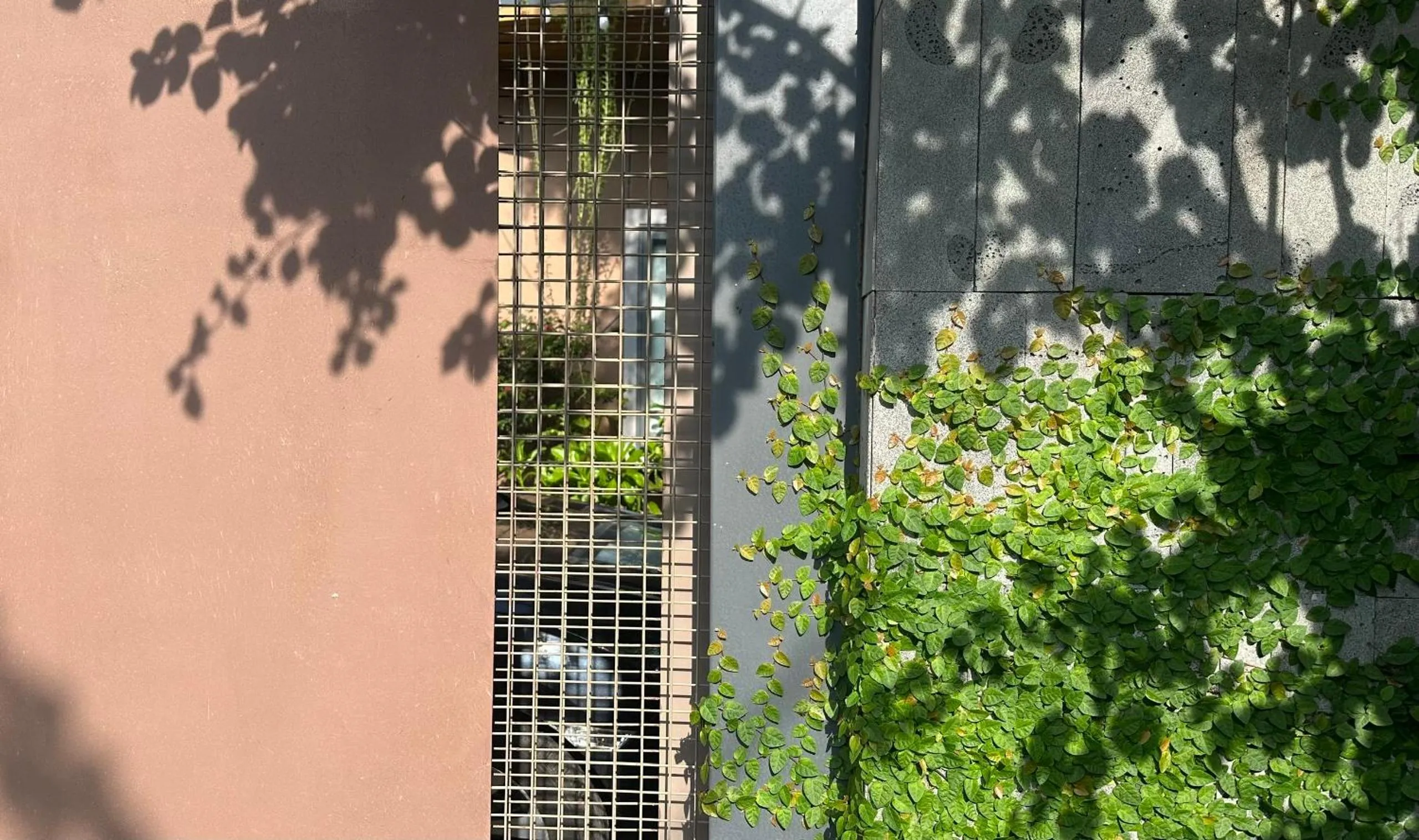 Street view in Vanilla Ho Tram Homestay