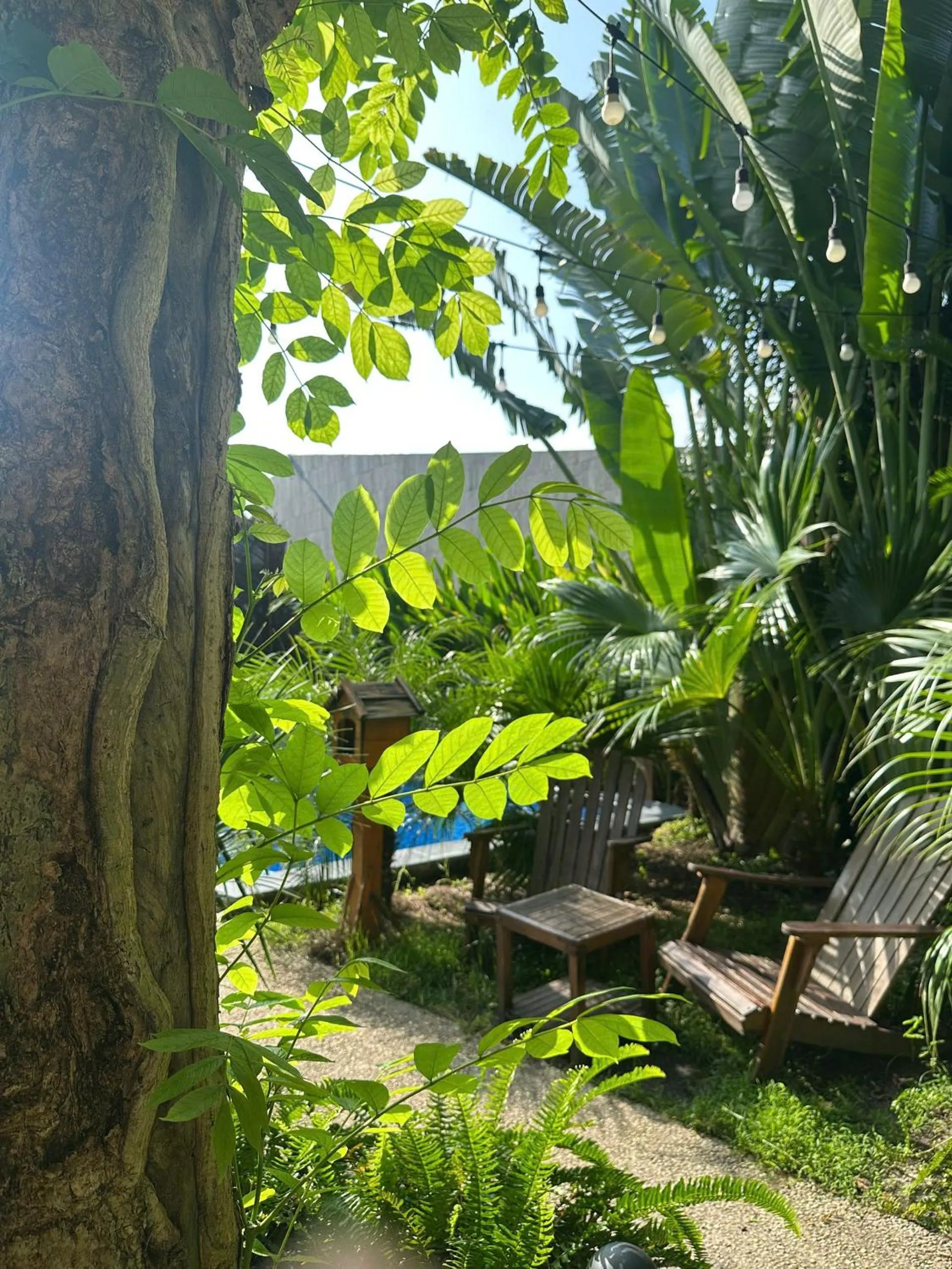 On site in Vanilla Ho Tram Homestay