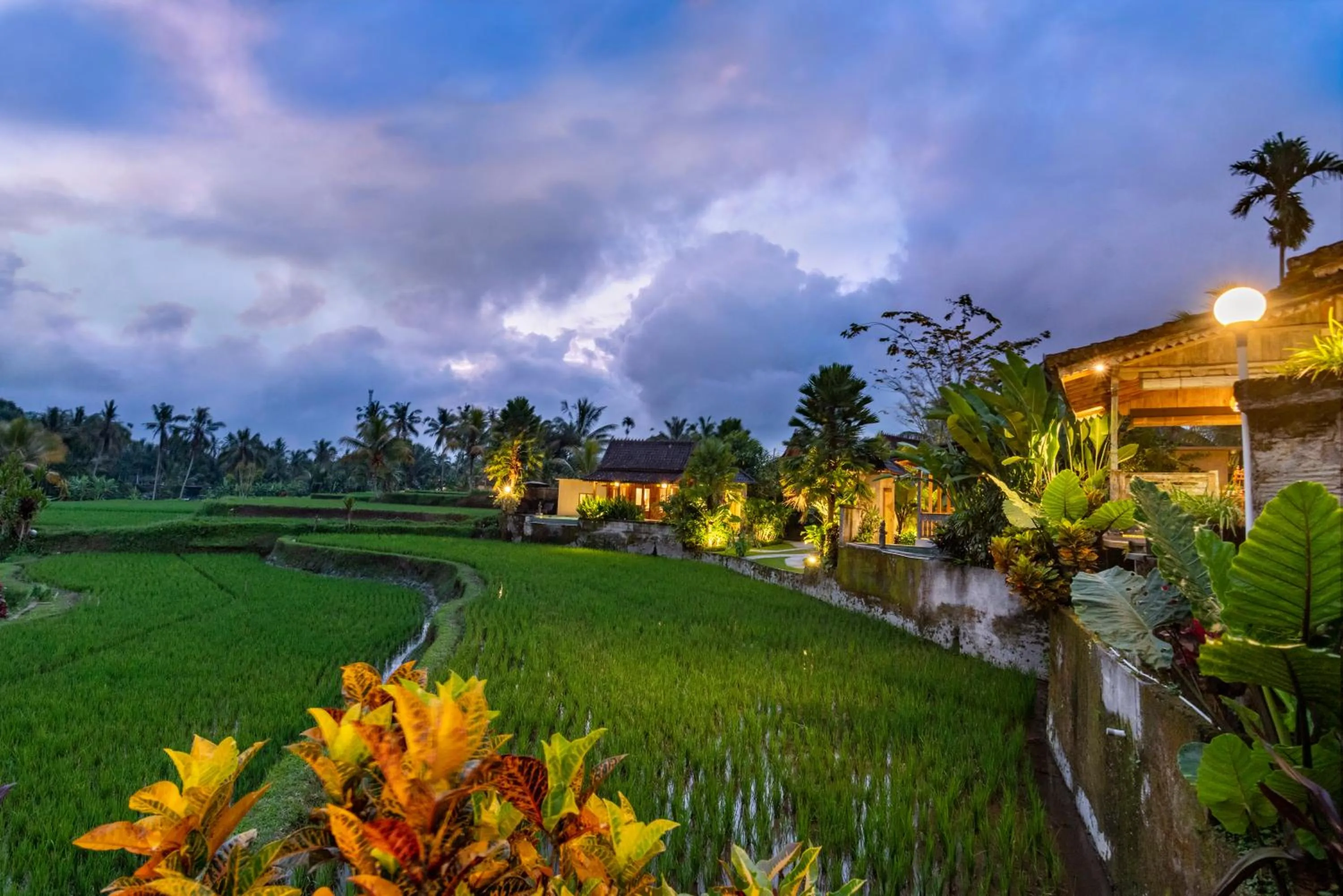 Natural landscape in Taksu Villa Ubud Sebatu by Dhananjaya Hospitality