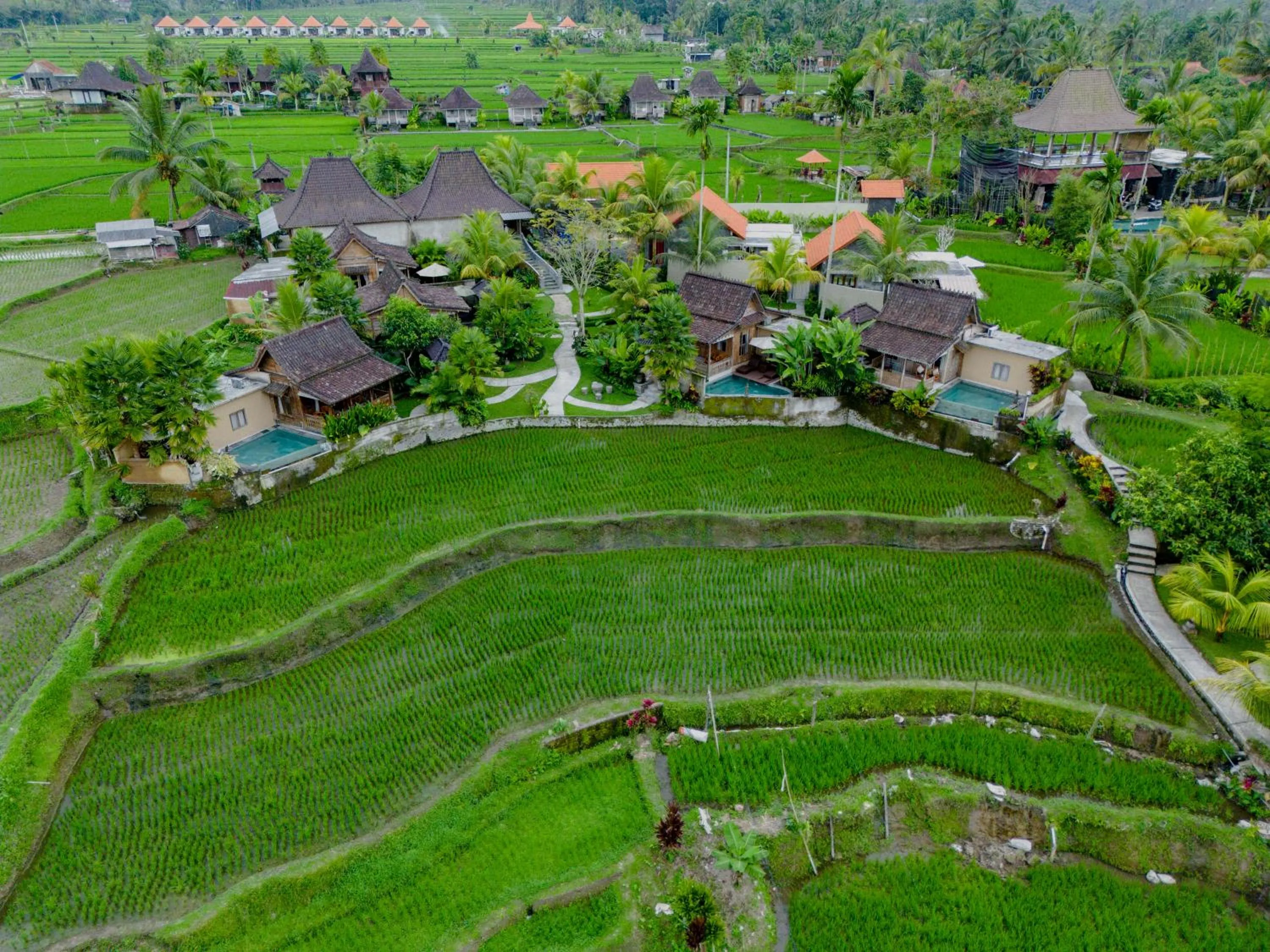 View (from property/room) in Taksu Villa Ubud Sebatu by Dhananjaya Hospitality