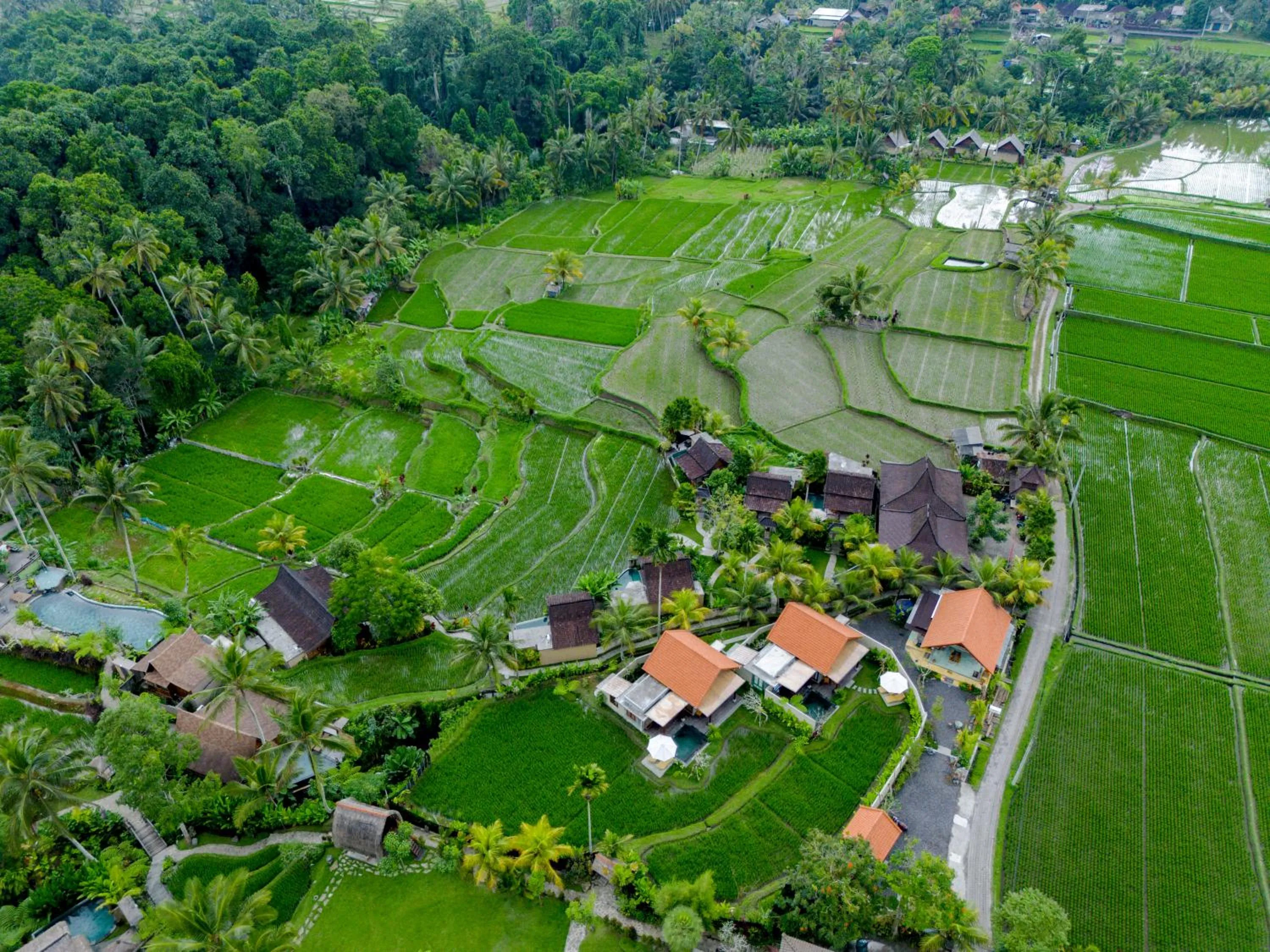 Natural landscape in Taksu Villa Ubud Sebatu by Dhananjaya Hospitality
