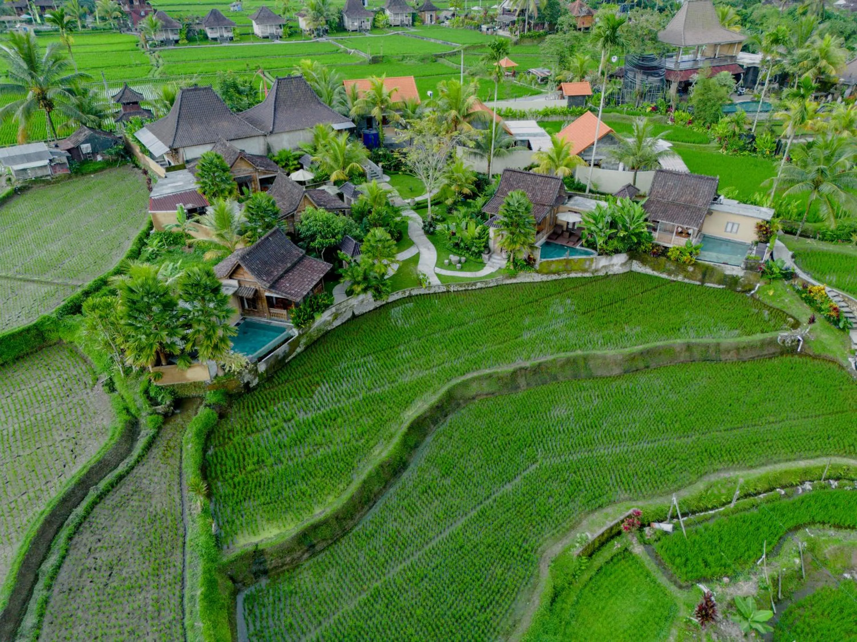 Natural landscape in Taksu Villa Ubud Sebatu by Dhananjaya Hospitality
