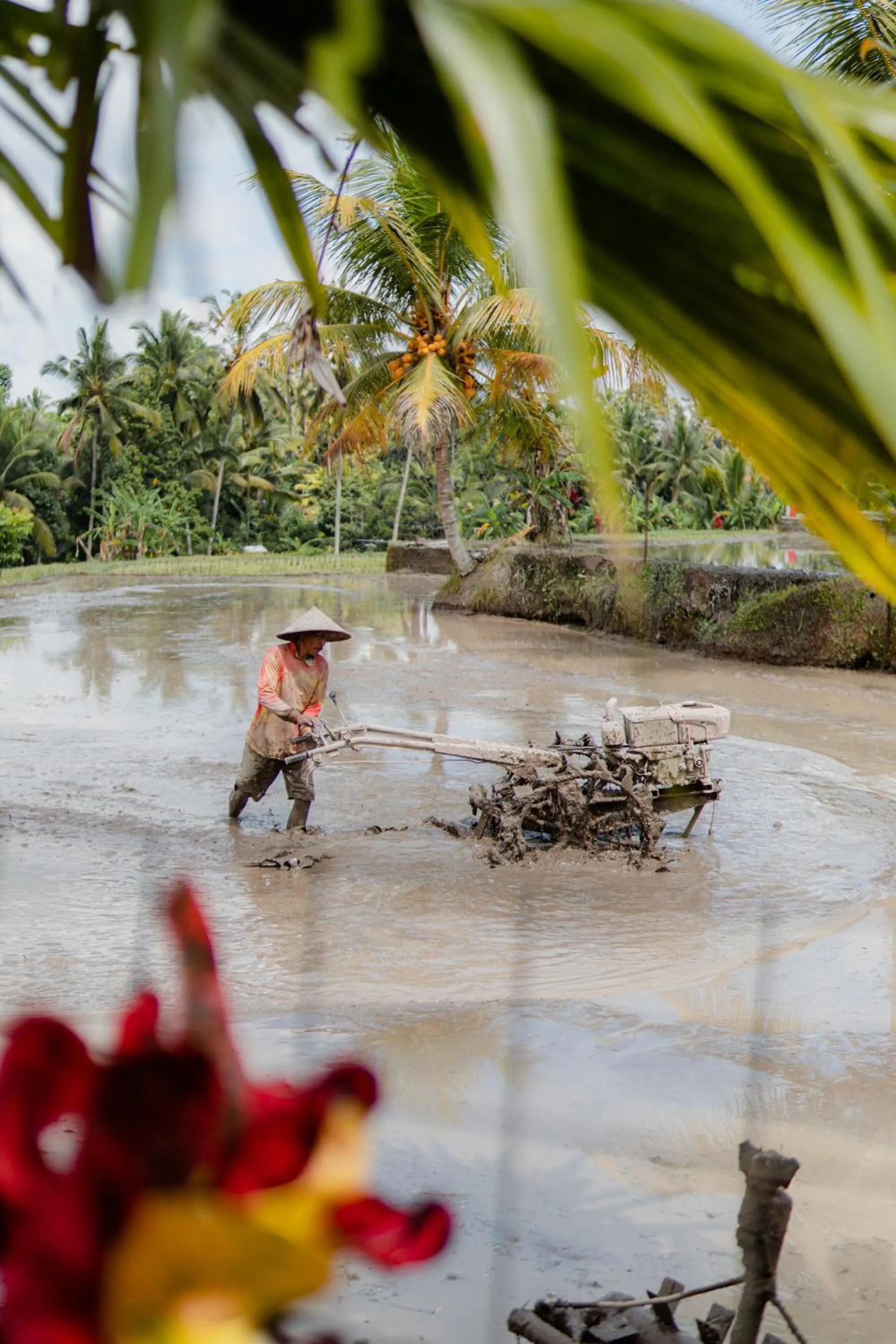 Spring in Taksu Villa Ubud Sebatu by Dhananjaya Hospitality