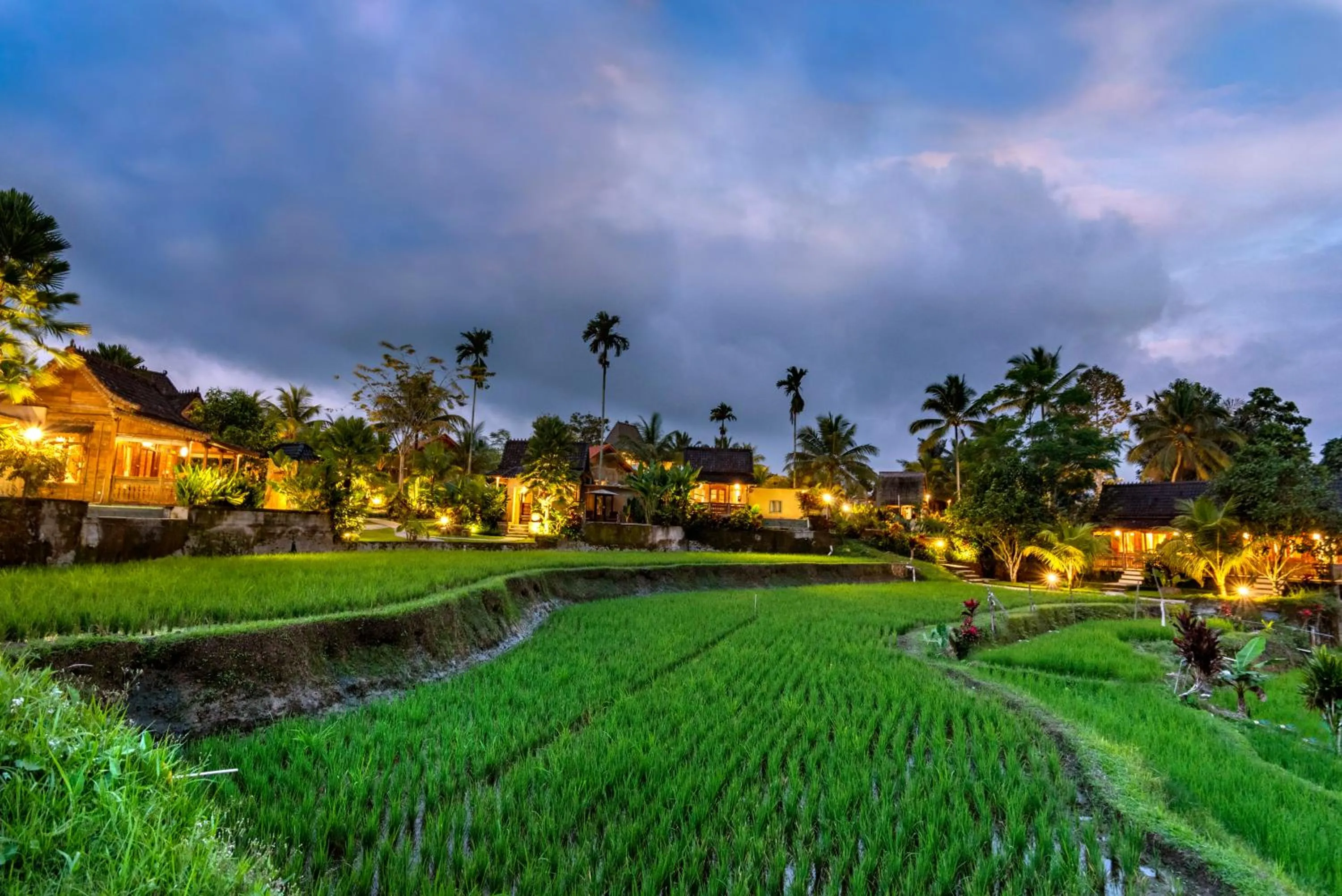 Natural landscape in Taksu Villa Ubud Sebatu by Dhananjaya Hospitality