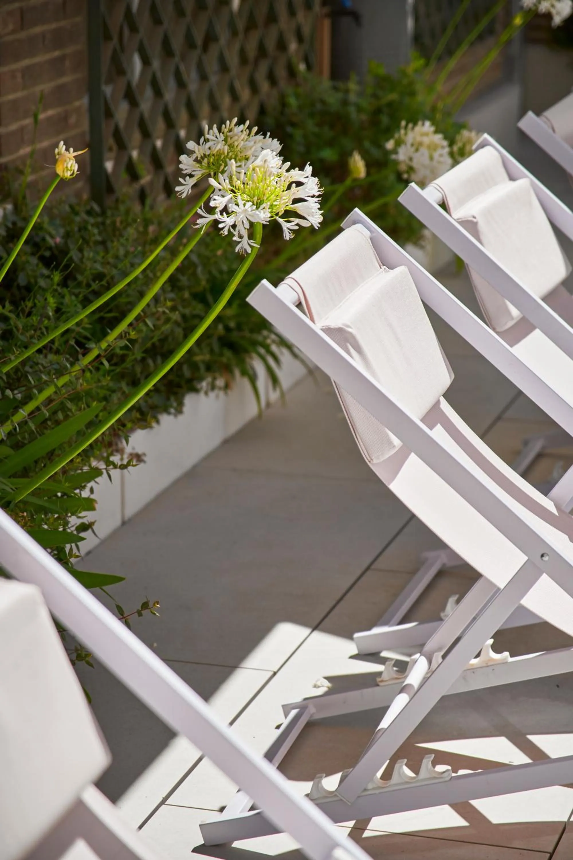 Day in Apartamentos Juan Bravo