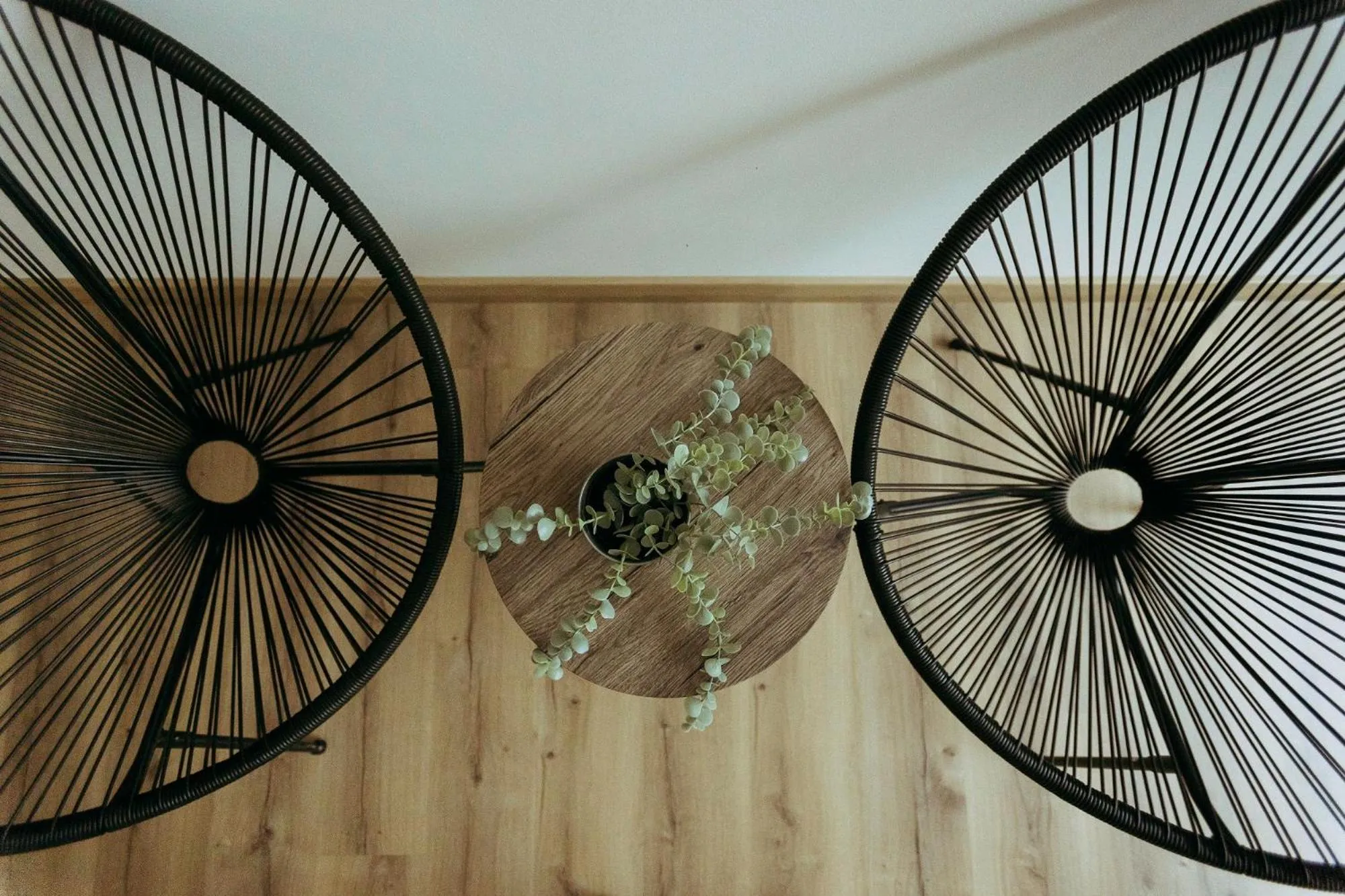 Area and facilities in Hotel Alfonso I