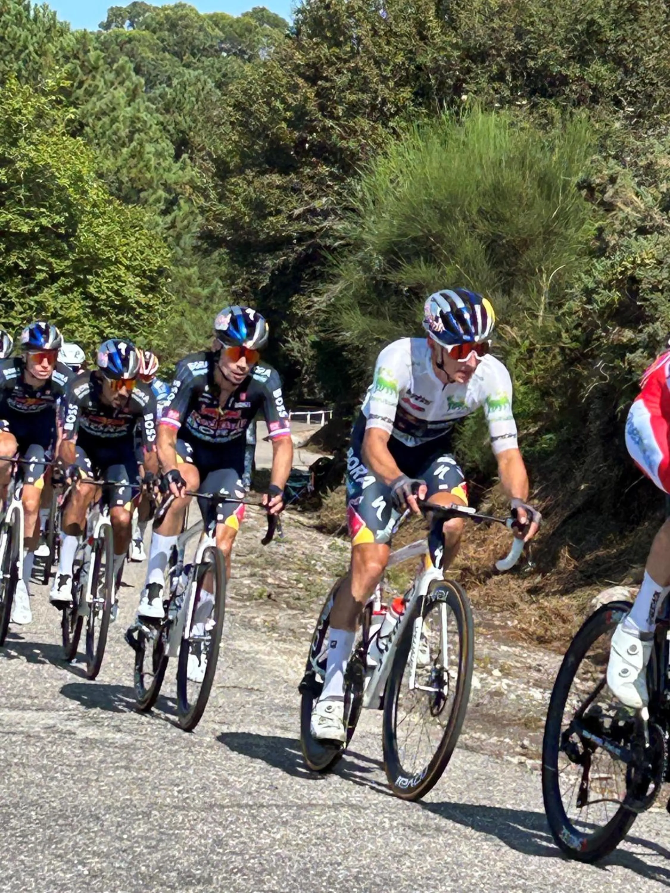 Cycling in Hotel Alfonso I