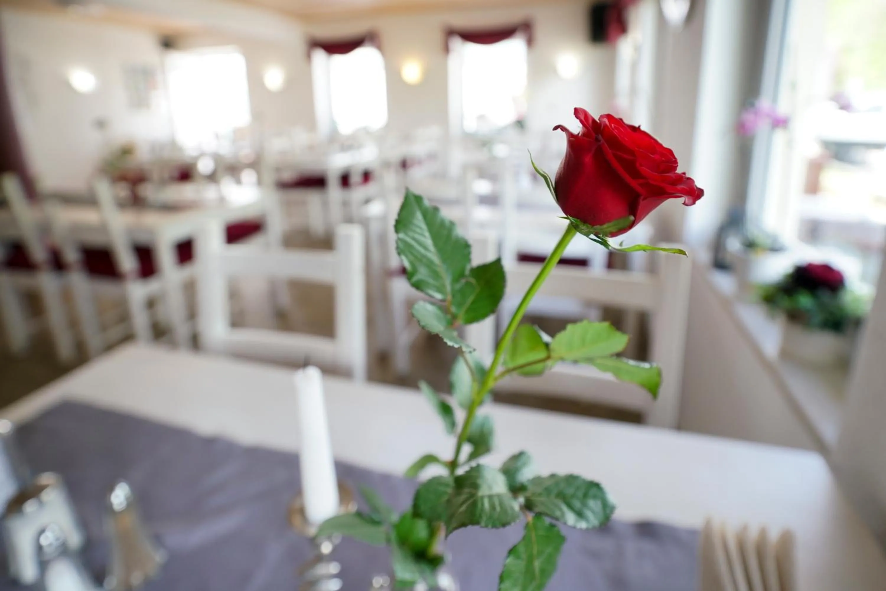 Restaurant/places to eat in Pension "Am Brunnen"