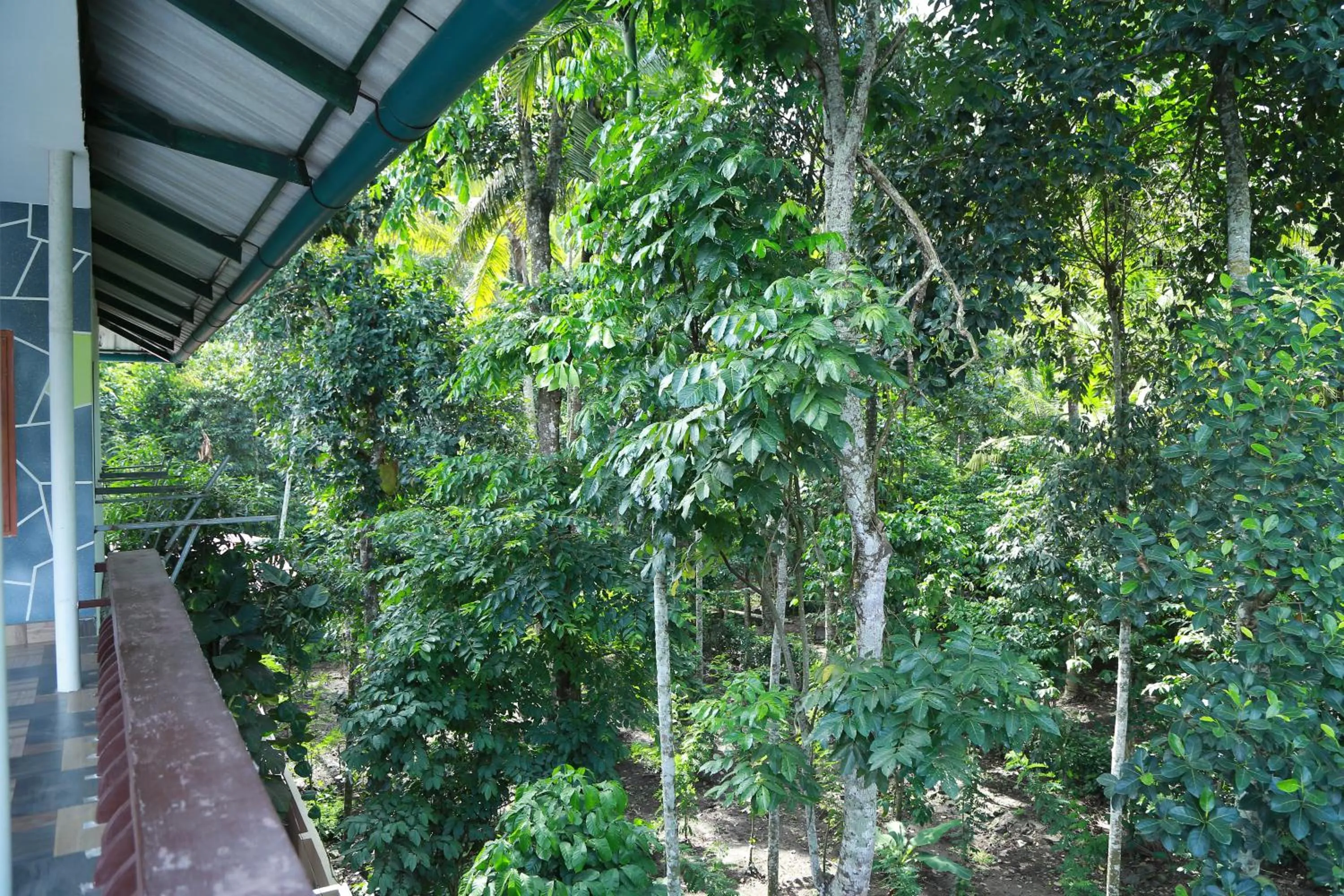 Natural landscape in Dean Dale Cottages