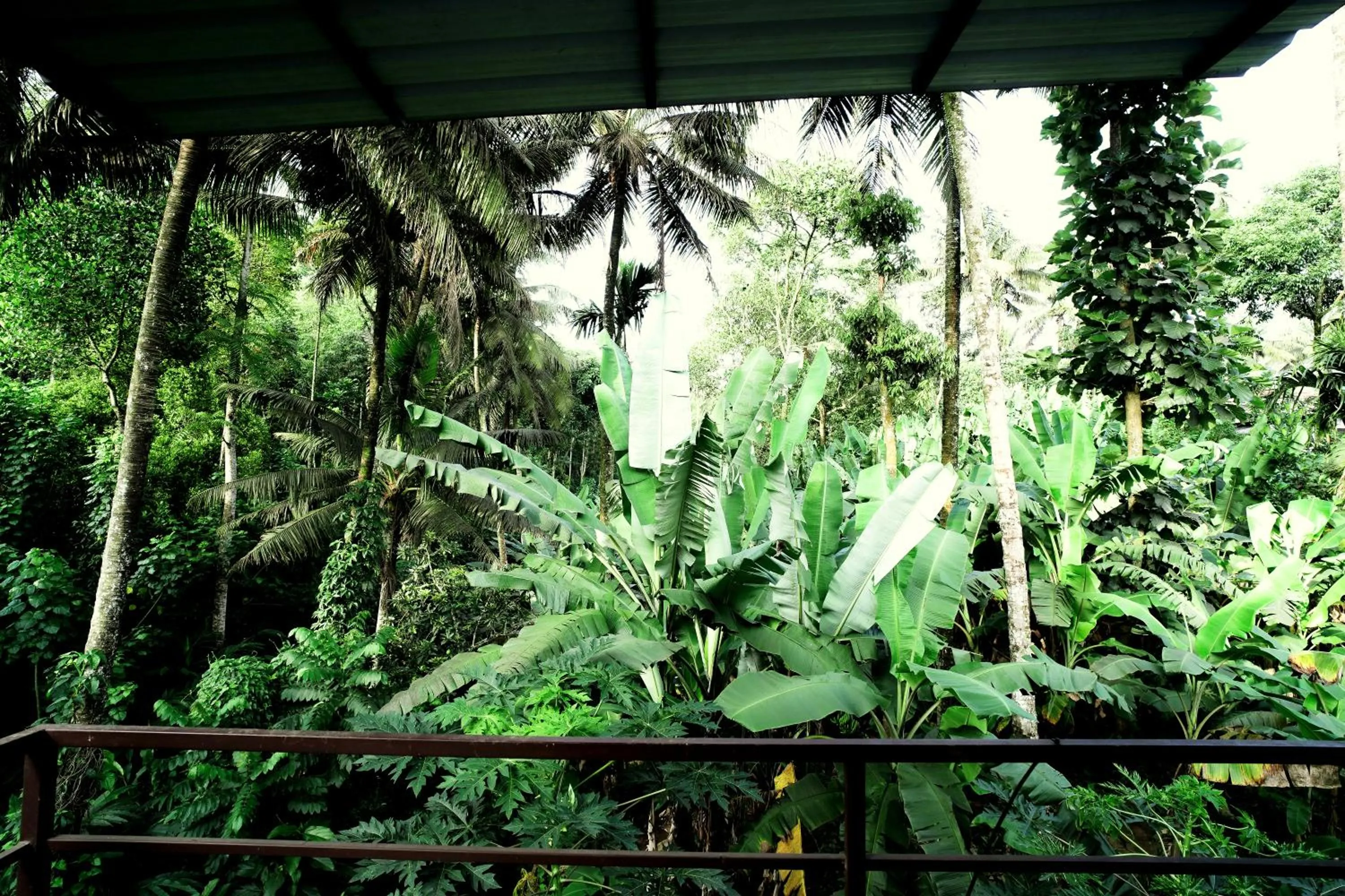 Natural landscape in Dean Dale Cottages
