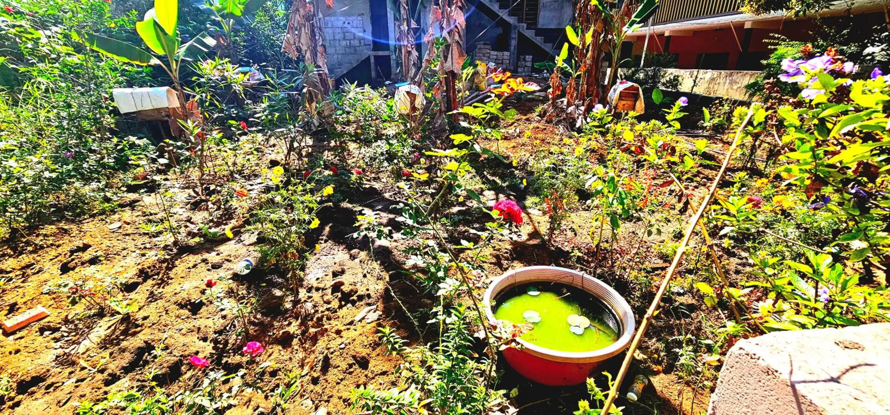 Spring in Dean Dale Cottages