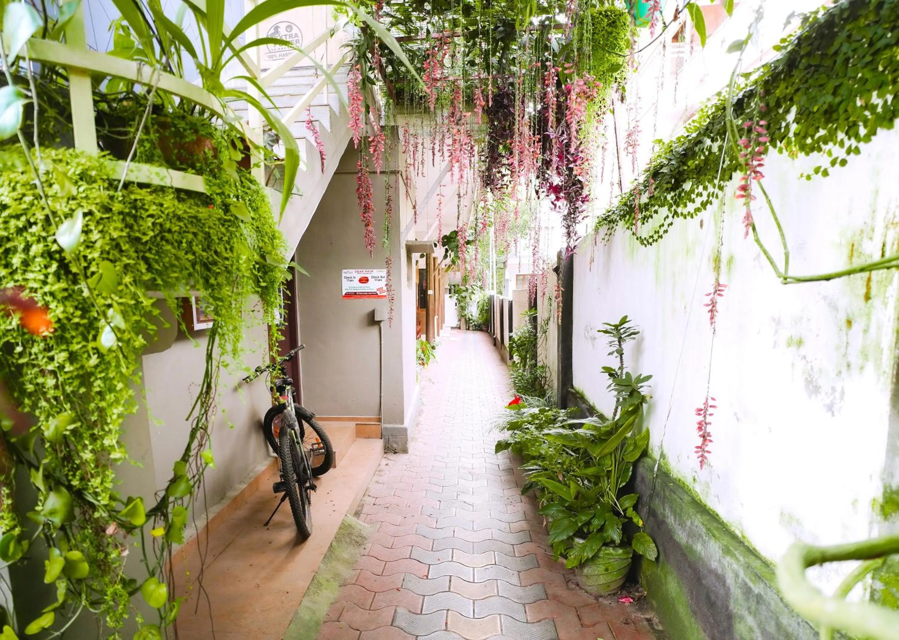 Day in Dean Dale Cottages