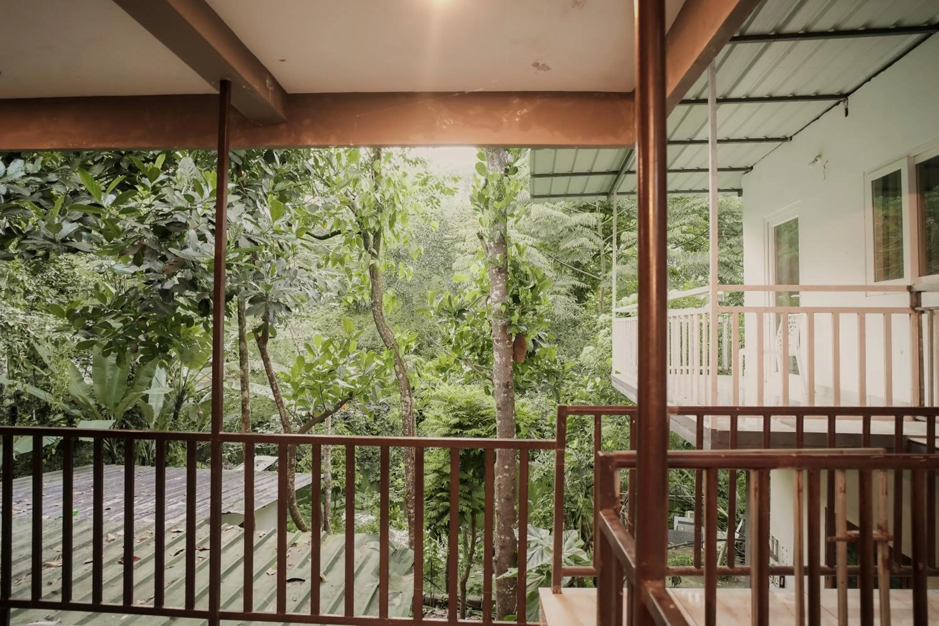 Natural landscape in Dean Dale Cottages