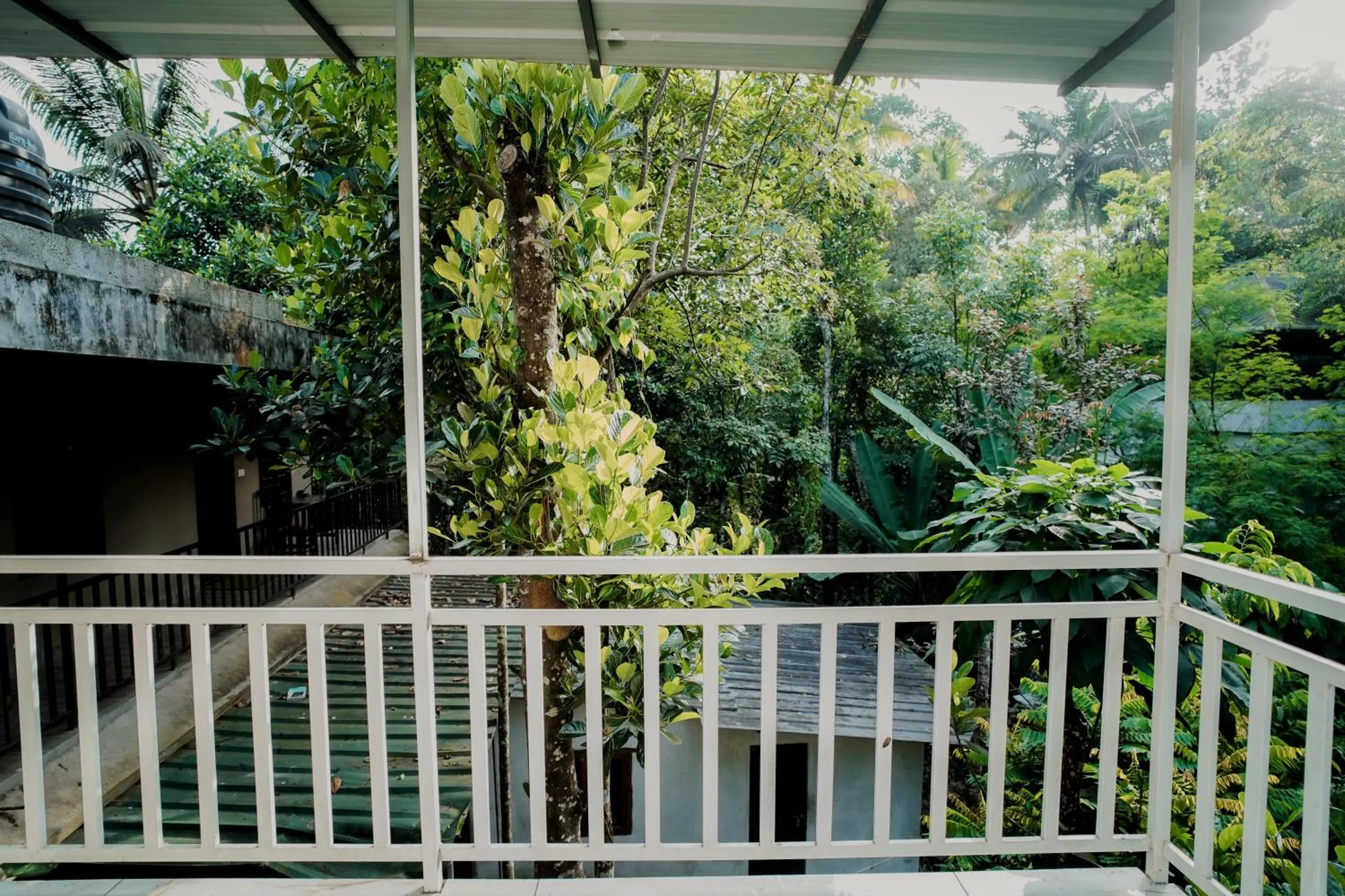 Patio in Dean Dale Cottages