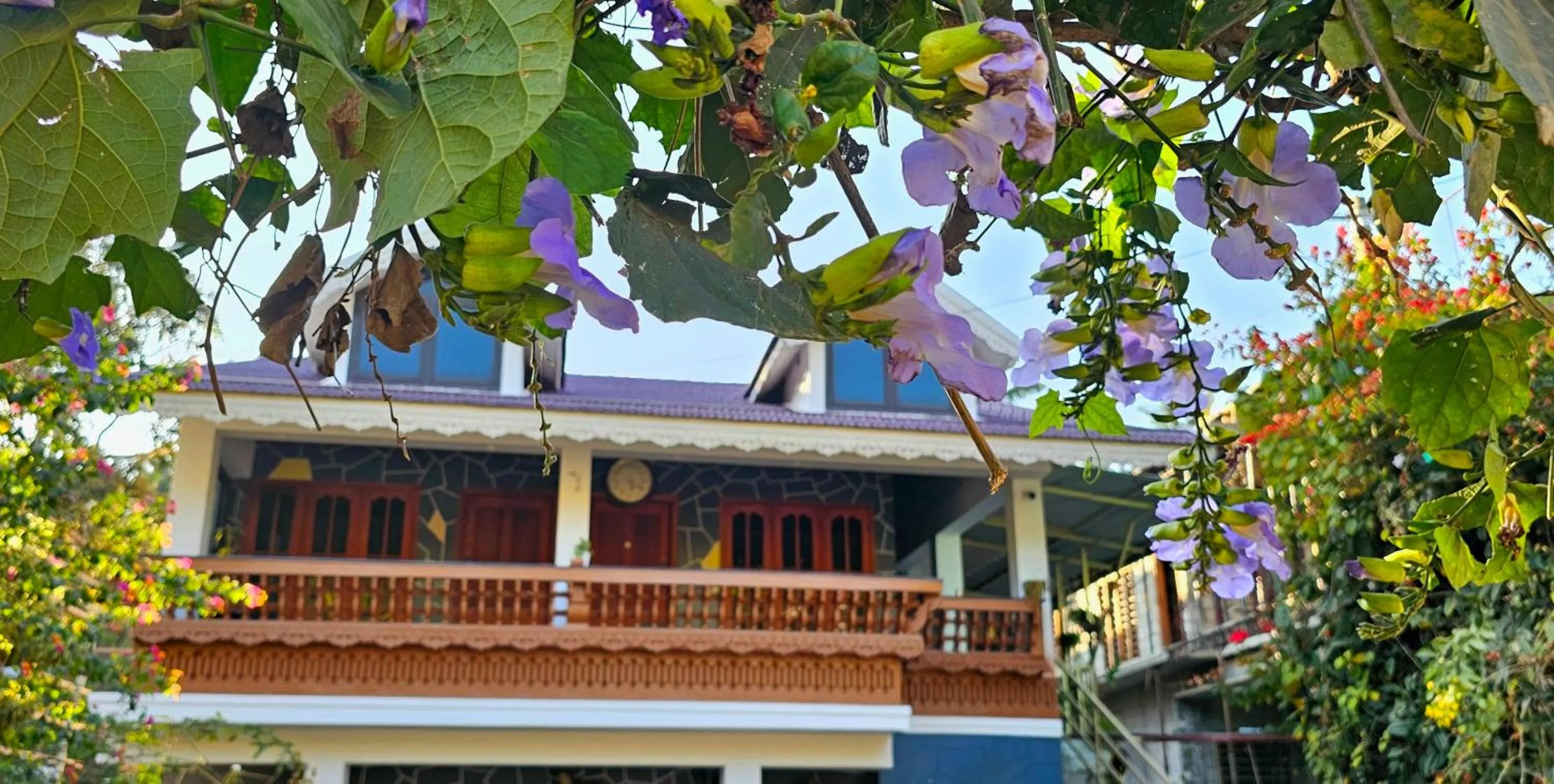 Property building in Dean Dale Cottages