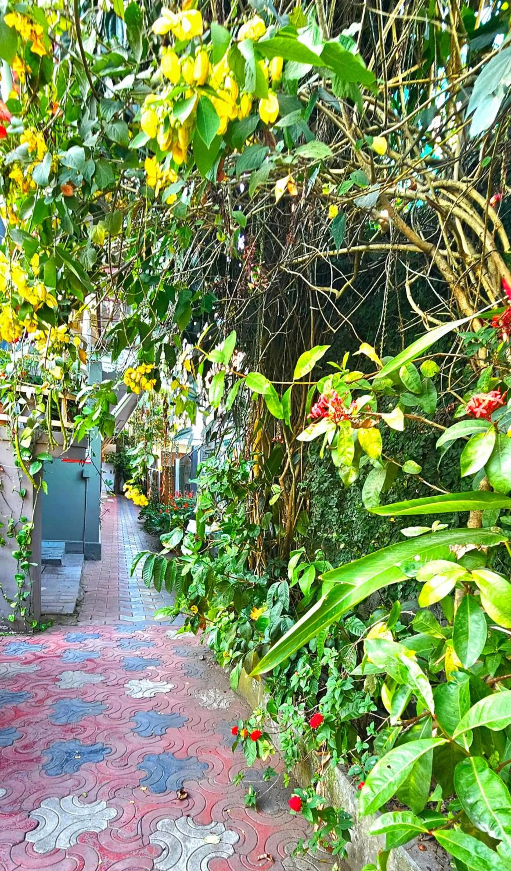 Garden view in Dean Dale Cottages