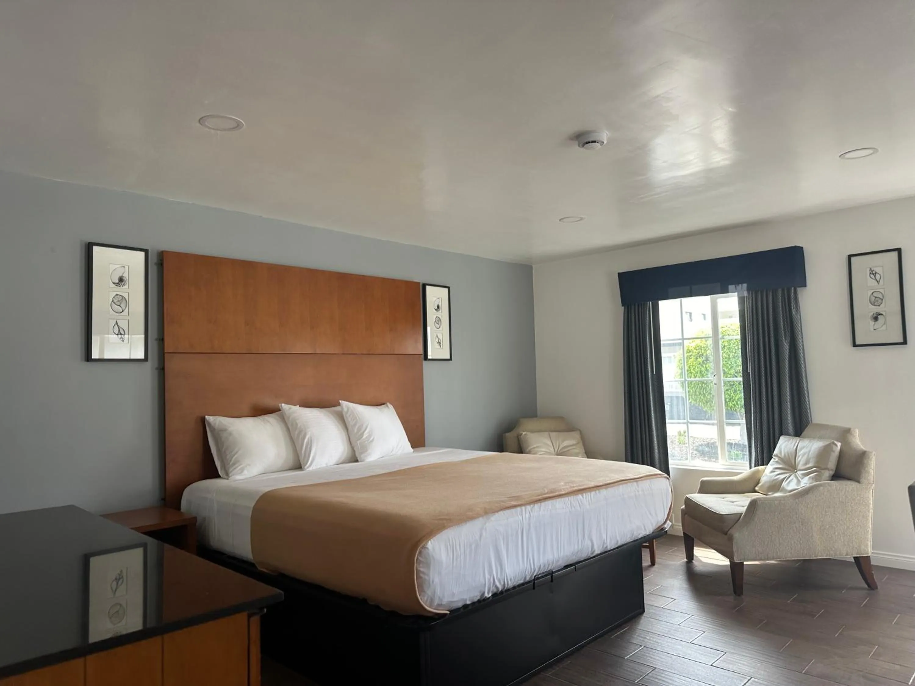 Bed in Oceanside Inn & Suites