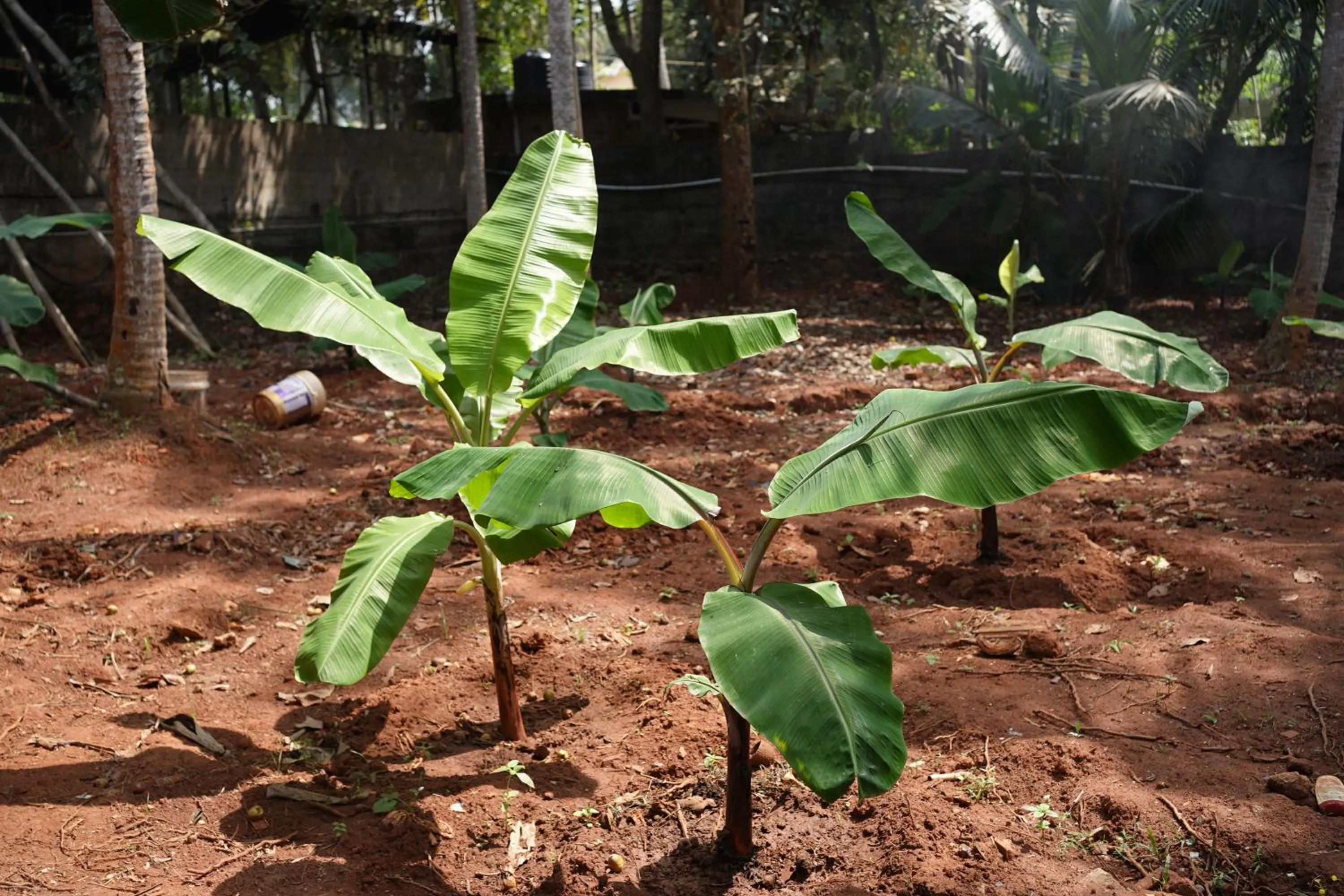 Natural landscape in God's Own country Kovalam By Bestinn Leisure