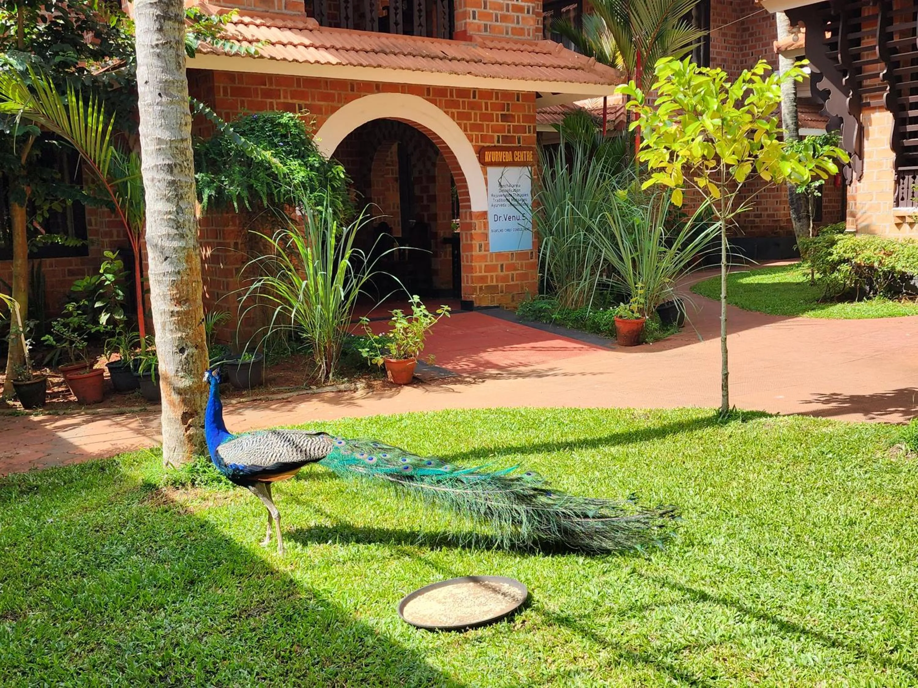 Natural landscape in God's Own country Kovalam By Bestinn Leisure