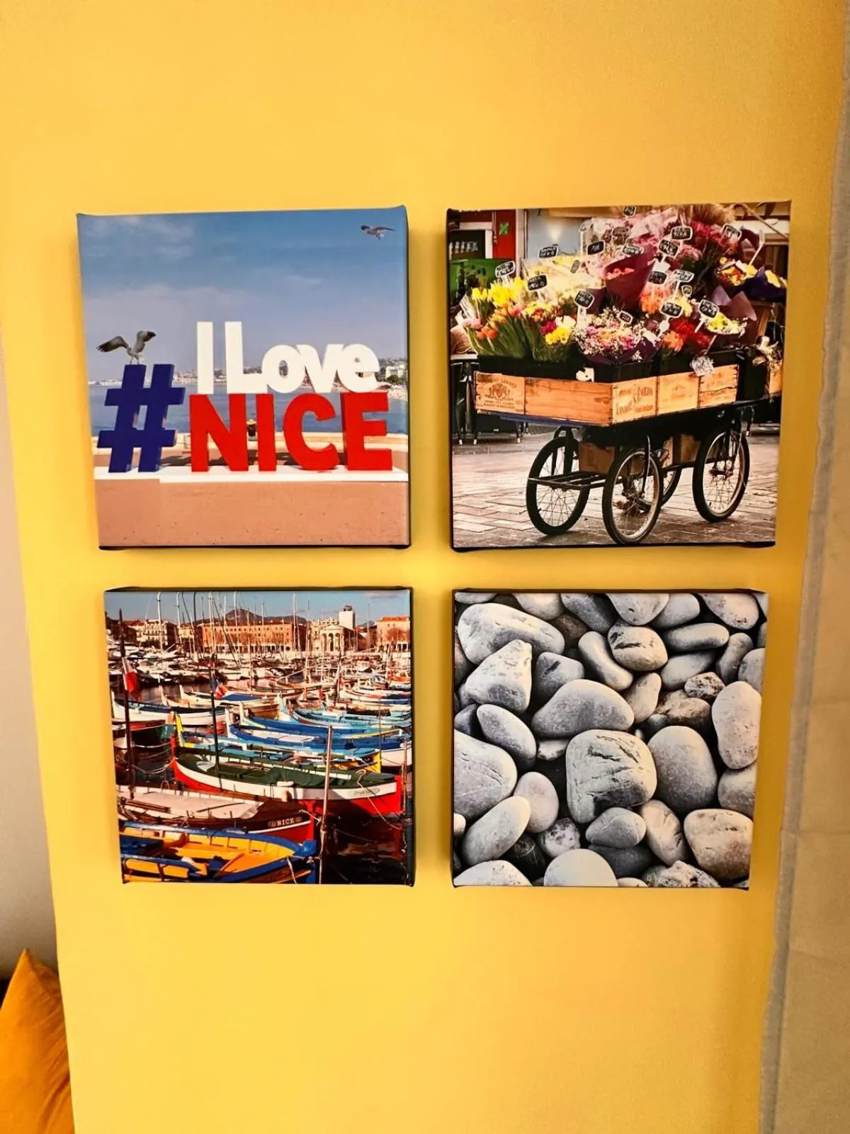 Studio Coeur Delille FSHH