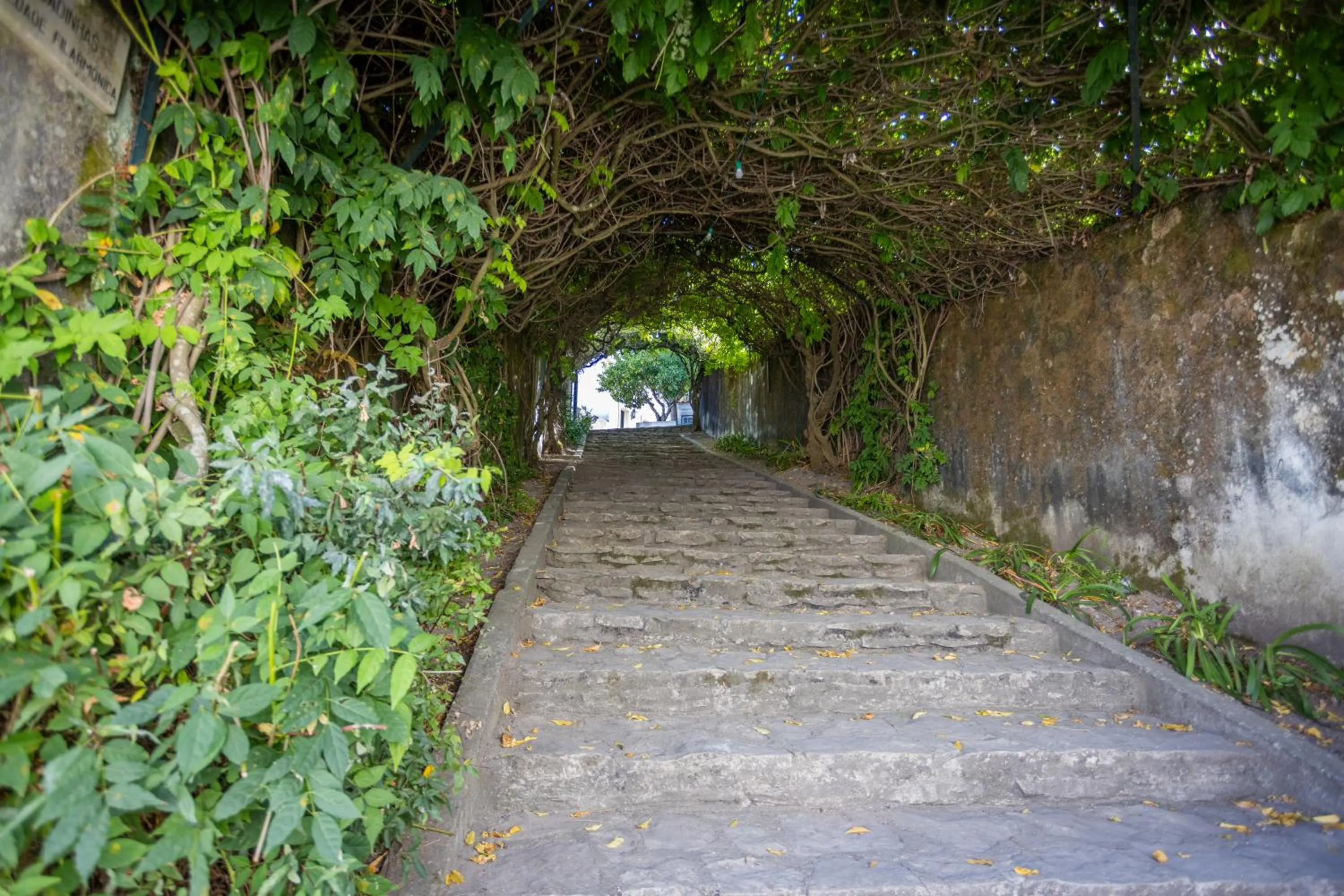 Off site in Pousada de Ourém - Fátima