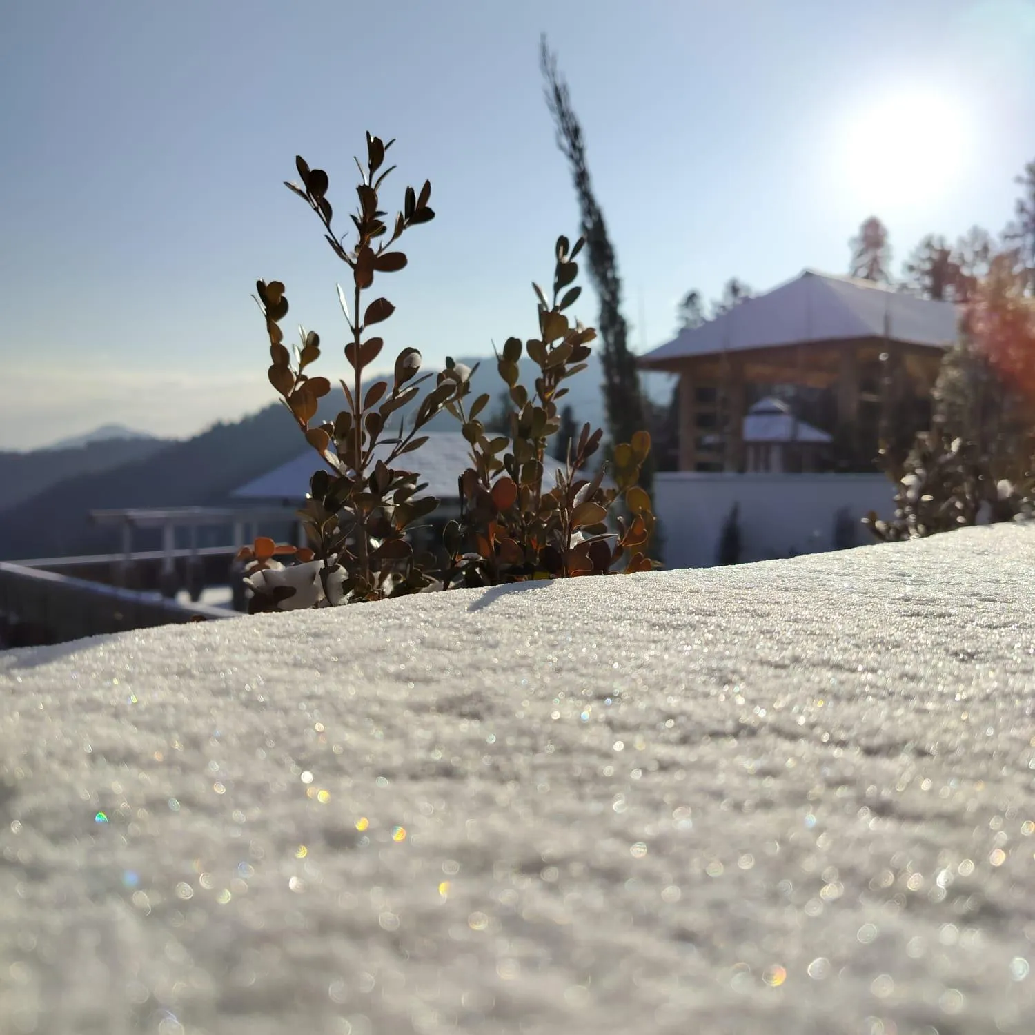 View (from property/room) in Hotel Greenberry Narkanda