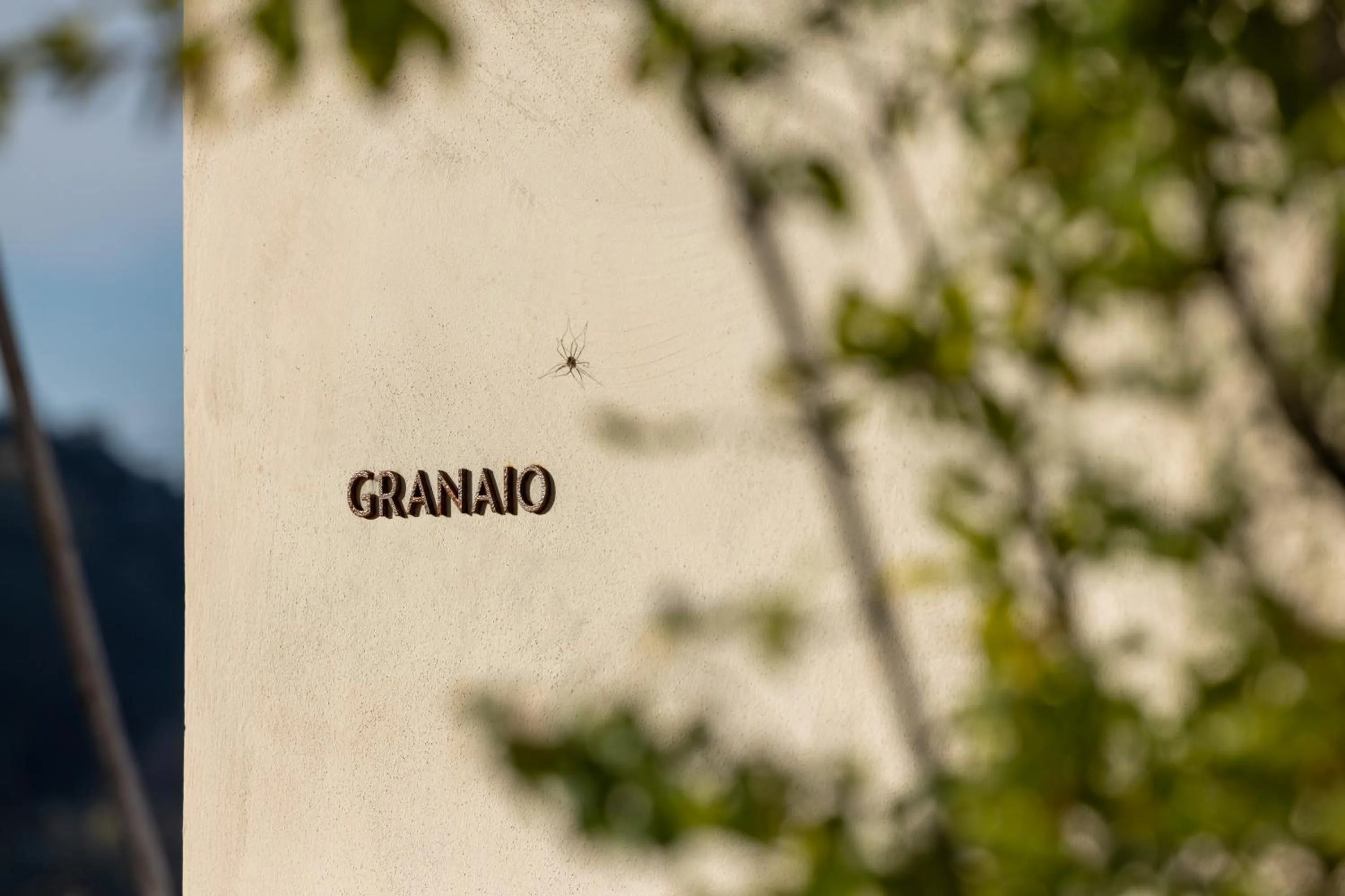 Day in Colle Alberti Country House