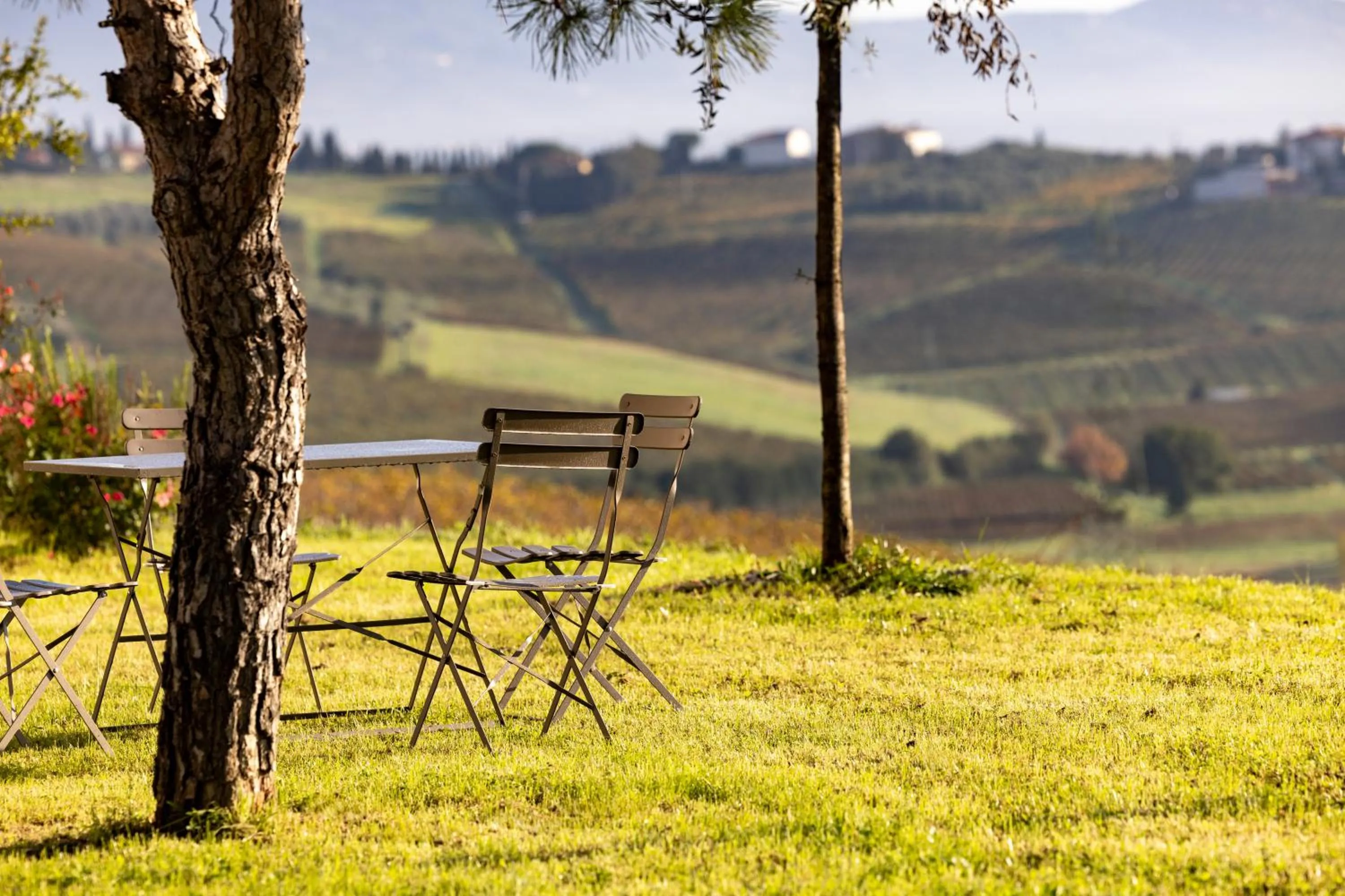 Summer in Colle Alberti Country House