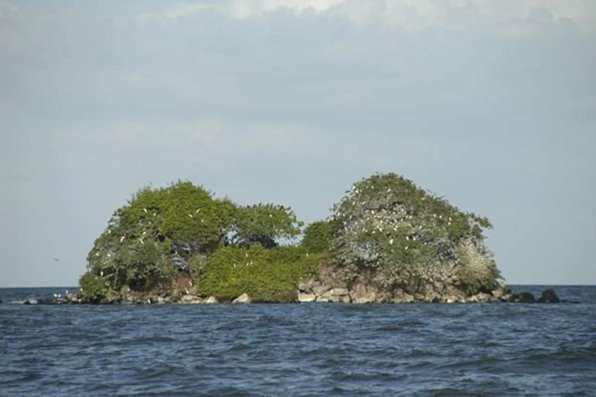 View (from property/room) in Hotel San Juan Ometepe