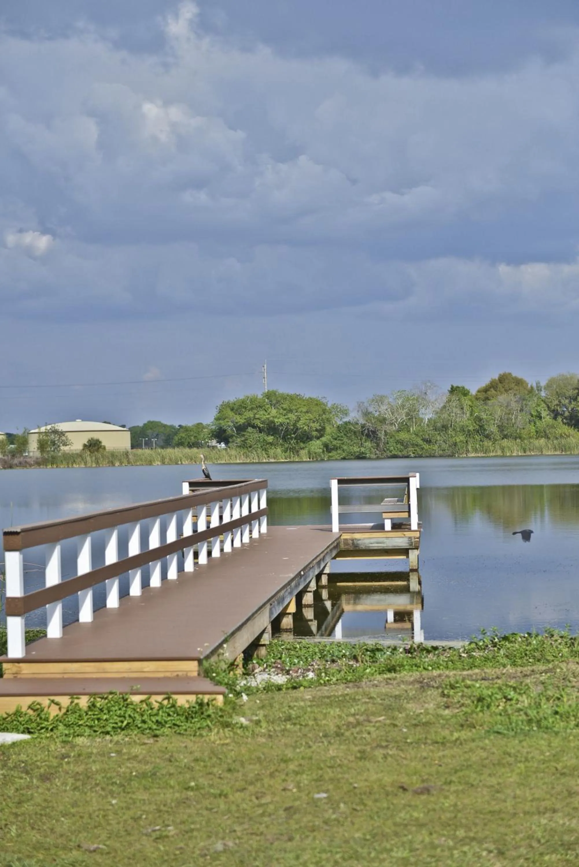 View (from property/room) in Lake Ida Beach Resort